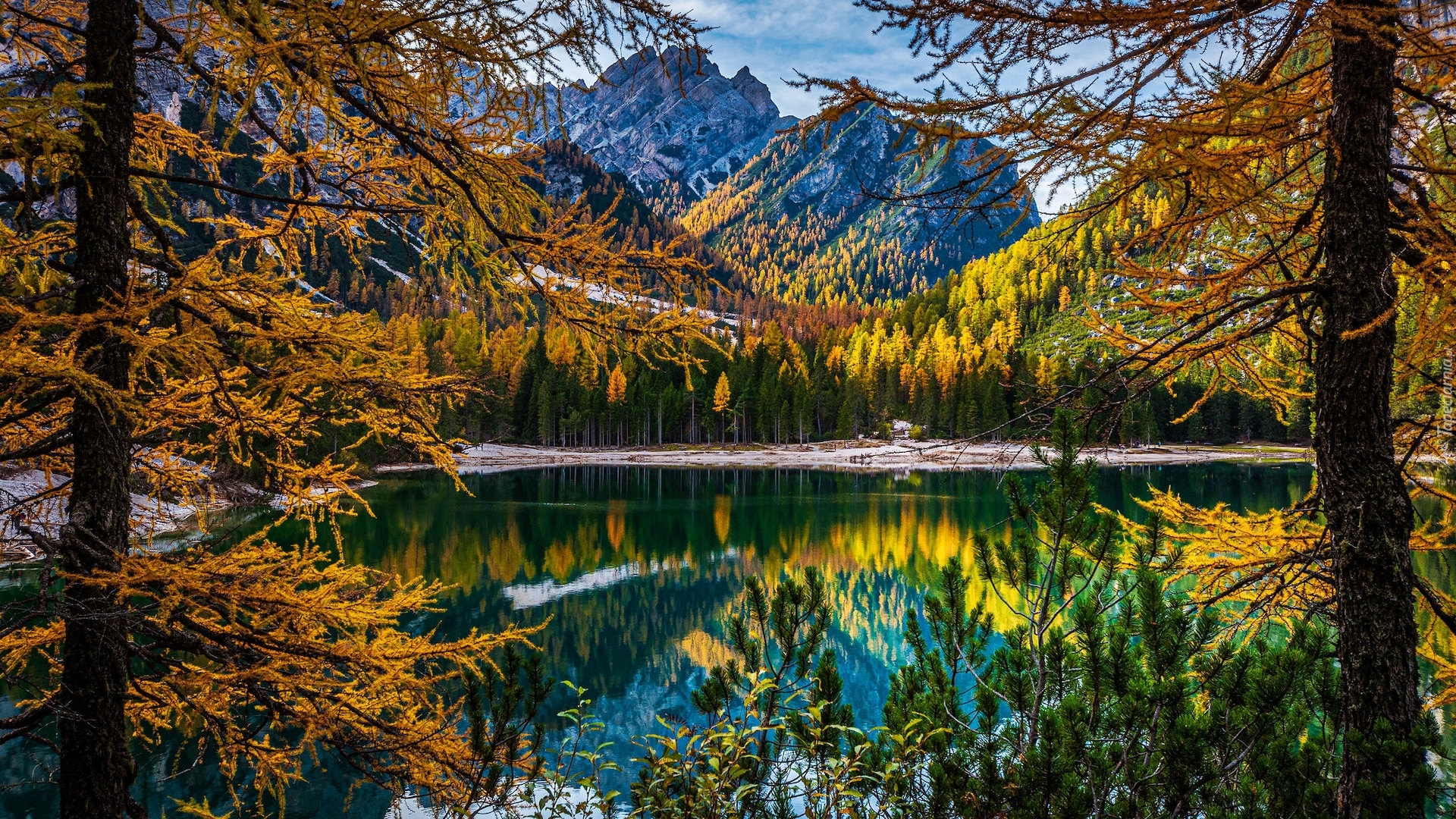 Jezioro, Pragser Wildsee, Lago di Braies, Góry, Dolomity, Tyrol, Włochy, Jesień, Drzewa