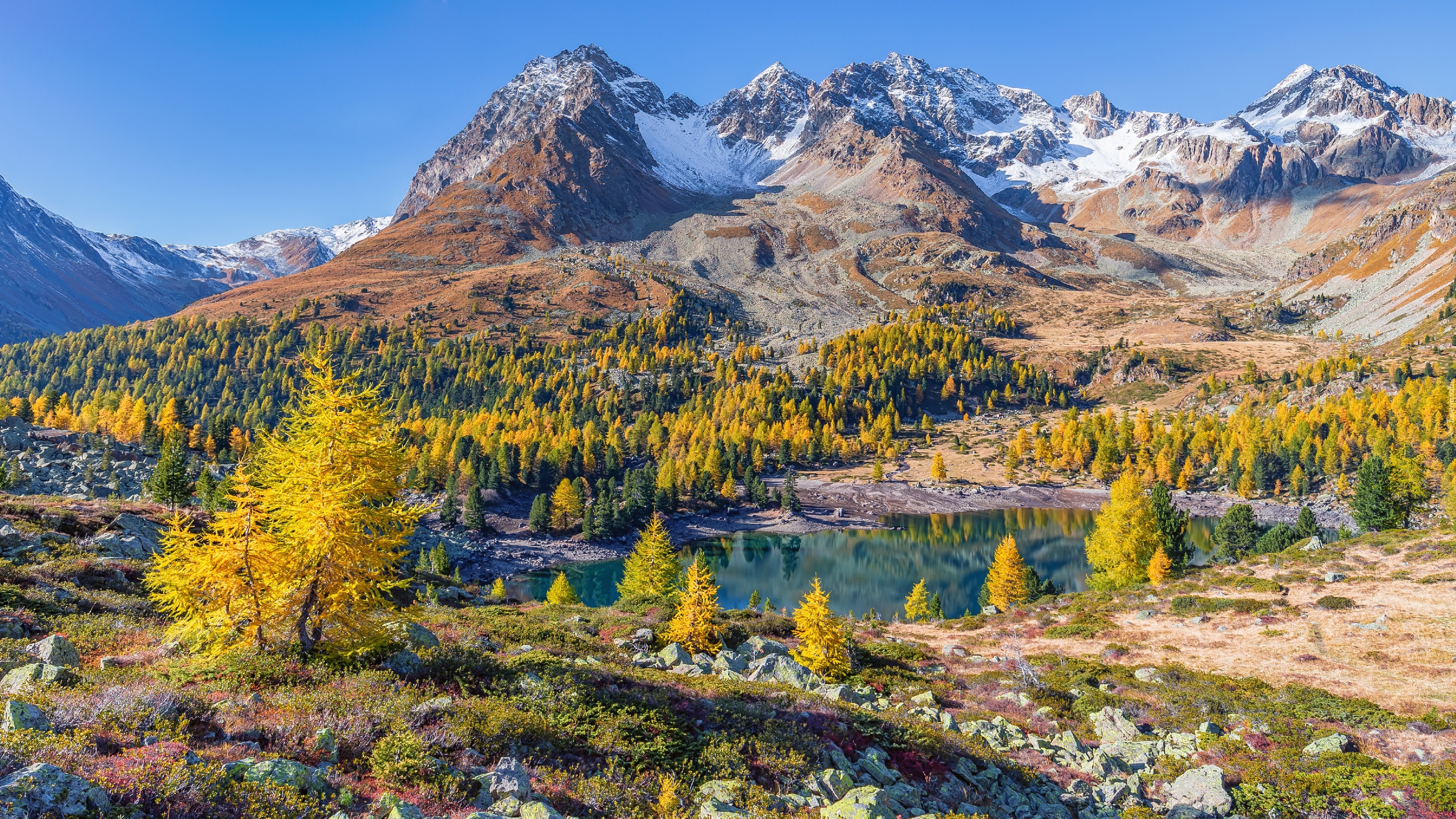 Szwajcaria, Gryzonia, Góry Alpy, Dolina Val Poschiavo, Jezioro Lago di Val Viola, Drzewa, Jesień, Kamienie