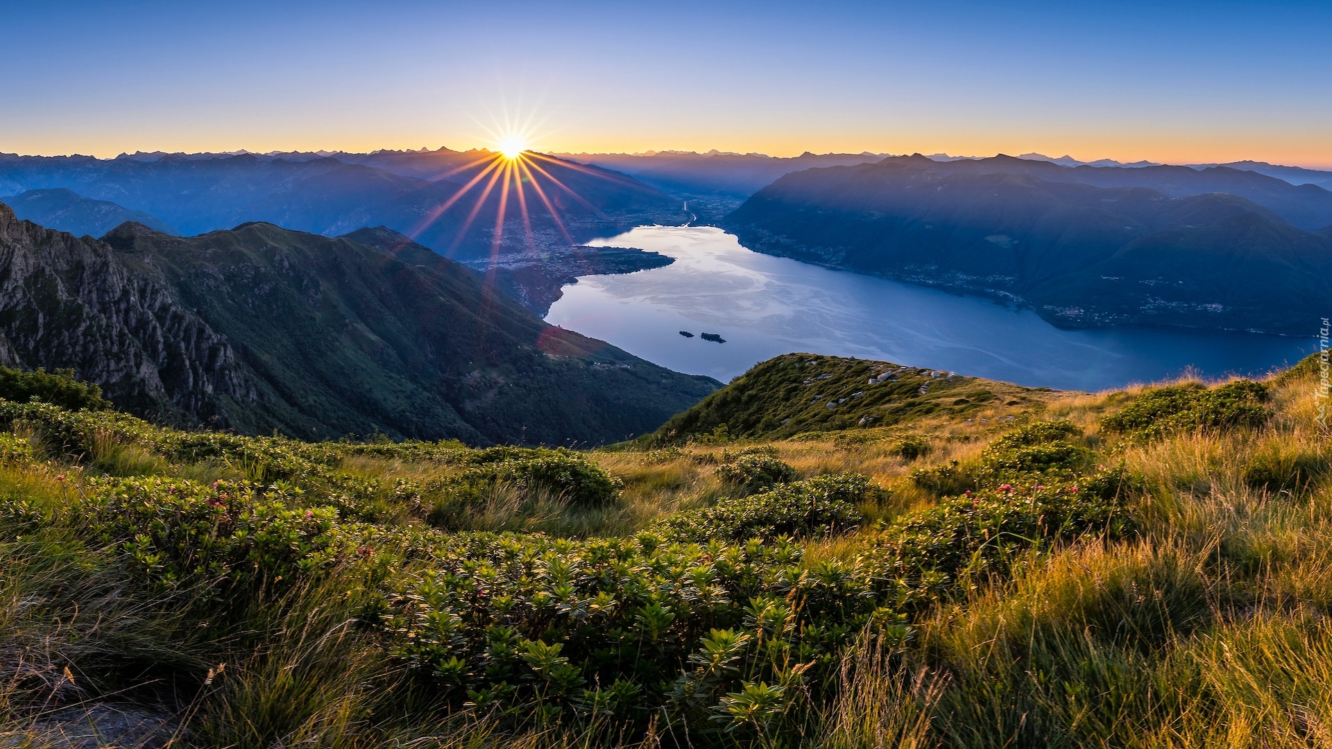 Szwajcaria, Kanton Ticino, Jezioro, Lago Magiorre, Góry, Alpy, Wschód słońca, Promienie słońca, Roślinność