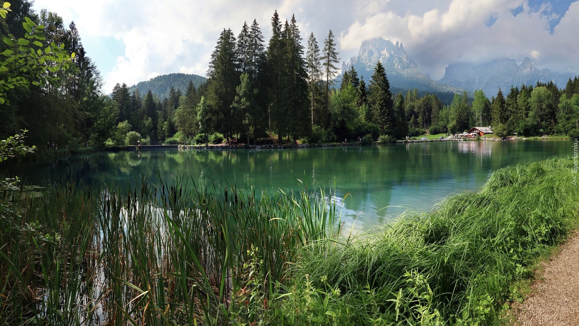 Jezioro, Lago Welsperg, Góry, Drzewa, Rośliny, Dom, Tonadico, Włochy