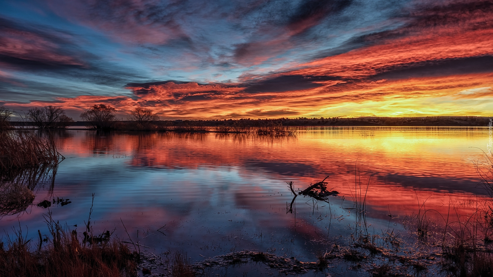 Chatfield State Park, Chmury, Jezioro, Lake Chatfield, Wschód słońca, Drzewa, Kolorado, Stany Zjednoczone