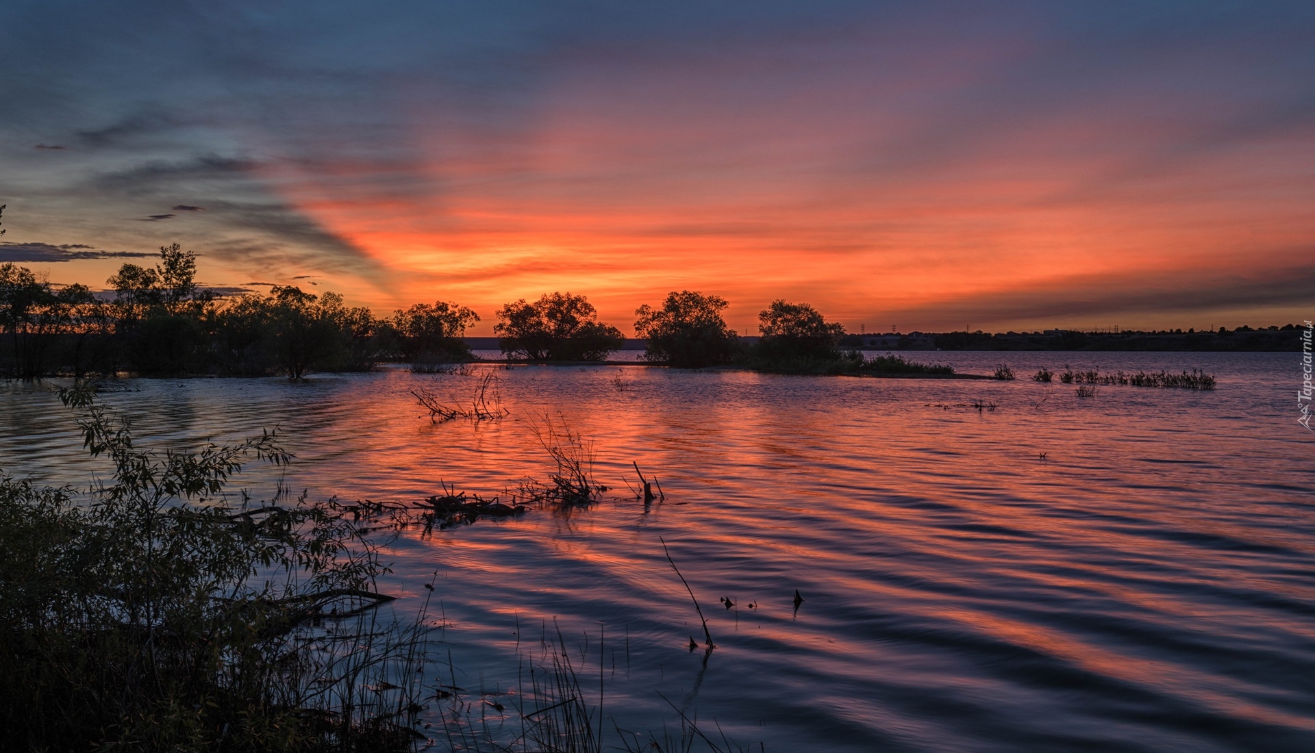 Chatfield State Park, Jezioro, Lake Chatfield, Zachód słońca, Drzewa, Kolorado, Stany Zjednoczone