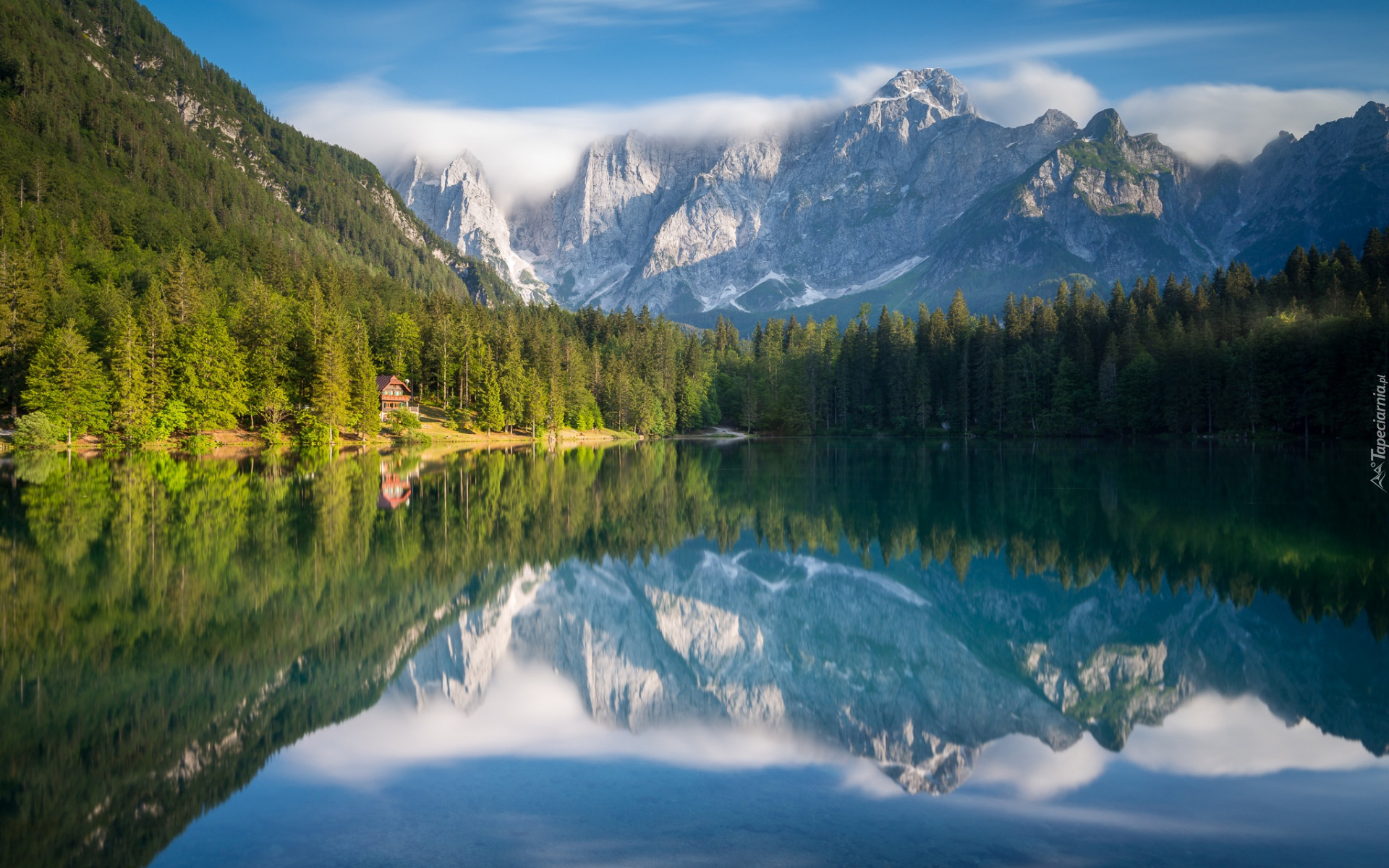 Las, Drzewa, Góry, Alpy Julijskie, Jezioro, Lake Fusine, Odbicie, Włochy