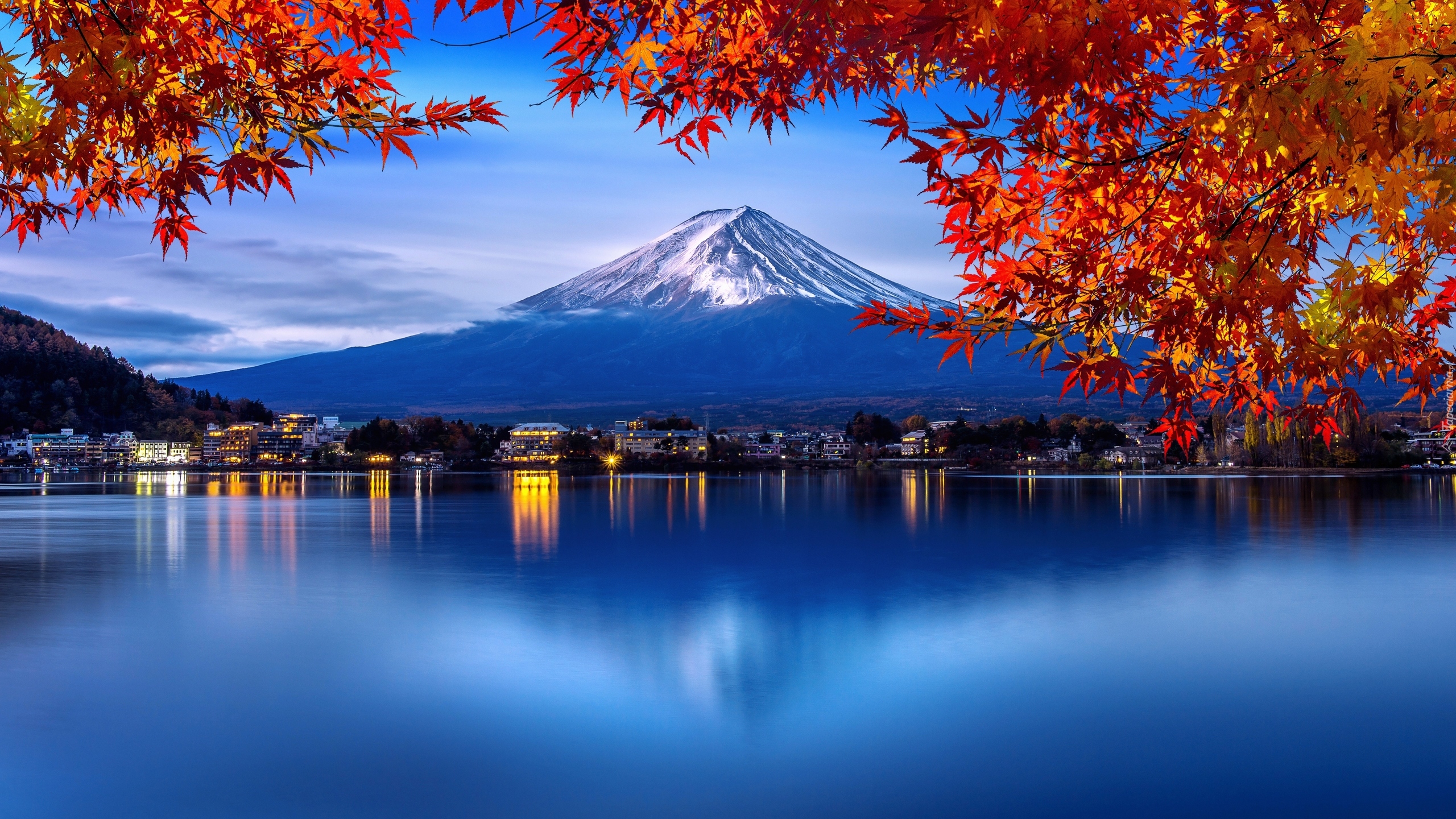 Japonia, Góra Fudżi, Stratowulkan, Jezioro, Lake Kawaguchi, Drzewa, Klon, Liście