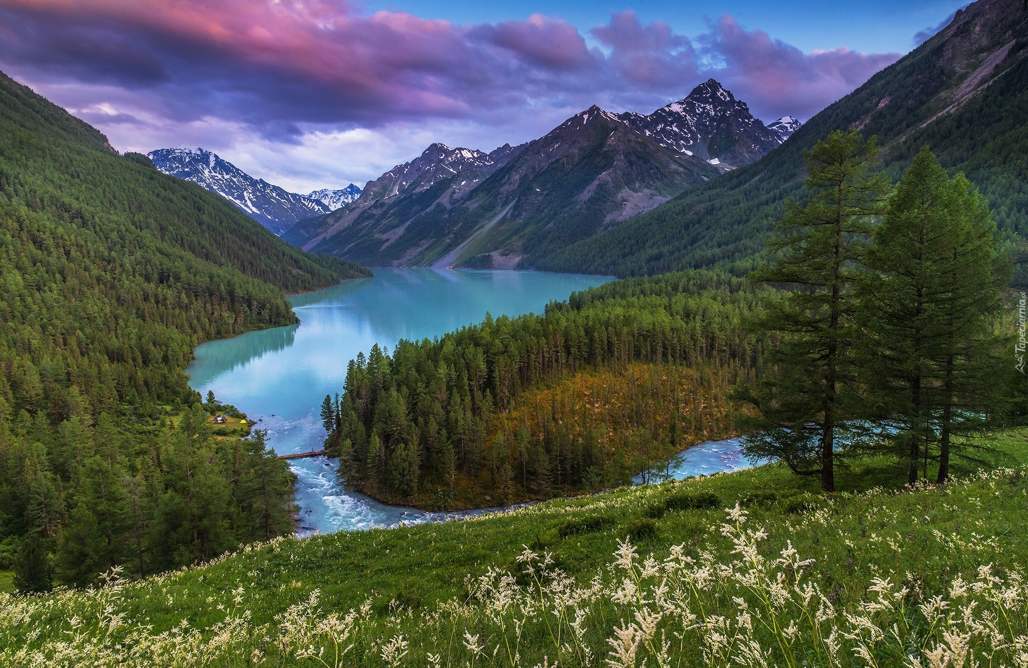 Góry, Jezioro Lake Kucherla, Republika Ałtaju, Rosja, Lasy, Drzewa,  Roślinność, Chmury
