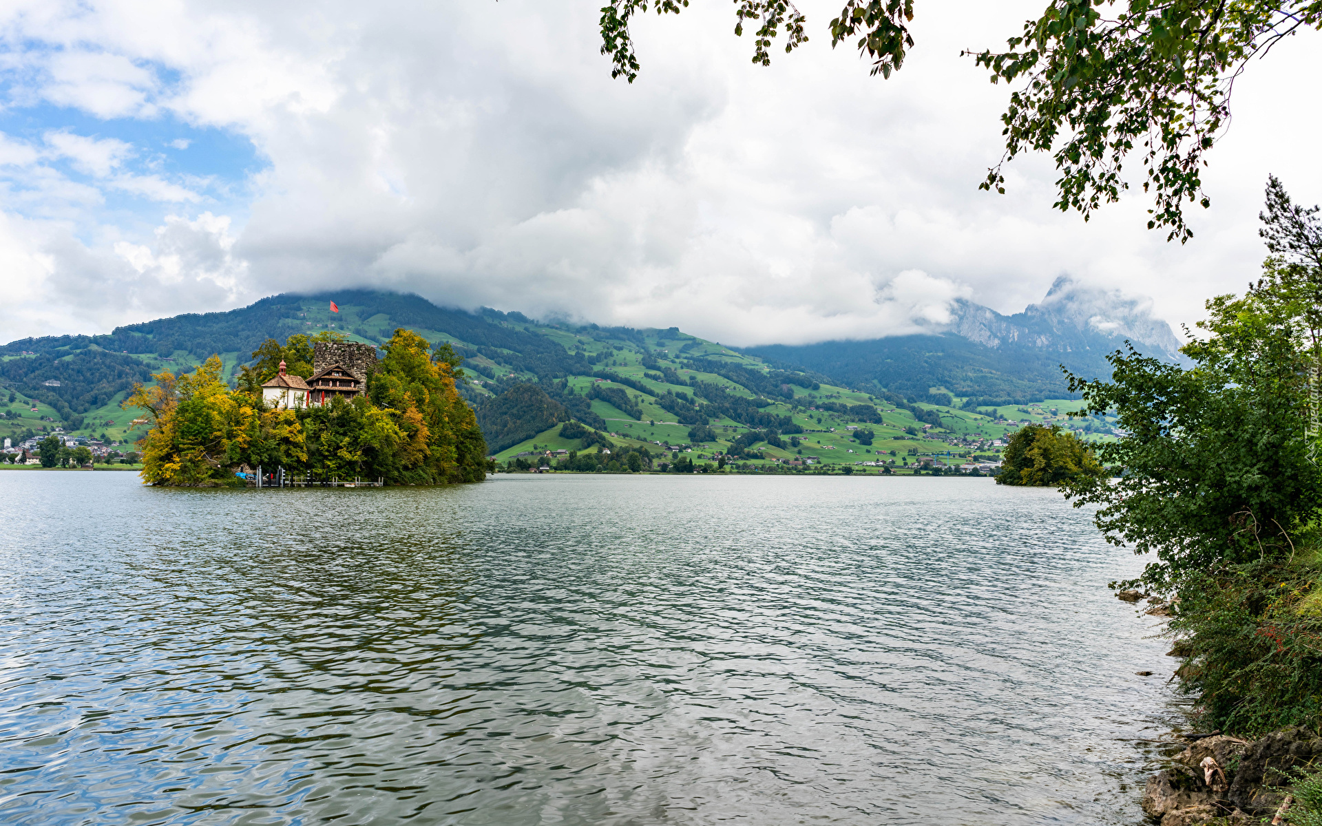 Szwajcaria, Wyspa Schwanau, Jezioro Lauerz, Góry, Drzewa, Niebo