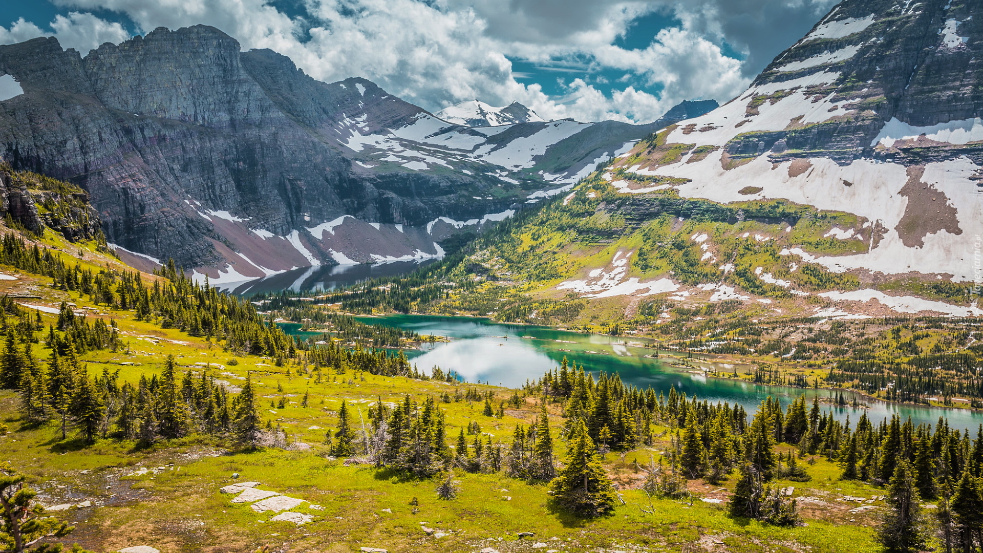 Góry Skaliste, Jezioro, Lake McDonald, Drzewa, Park Narodowy Glacier, Stan Montana, Stany Zjednoczone