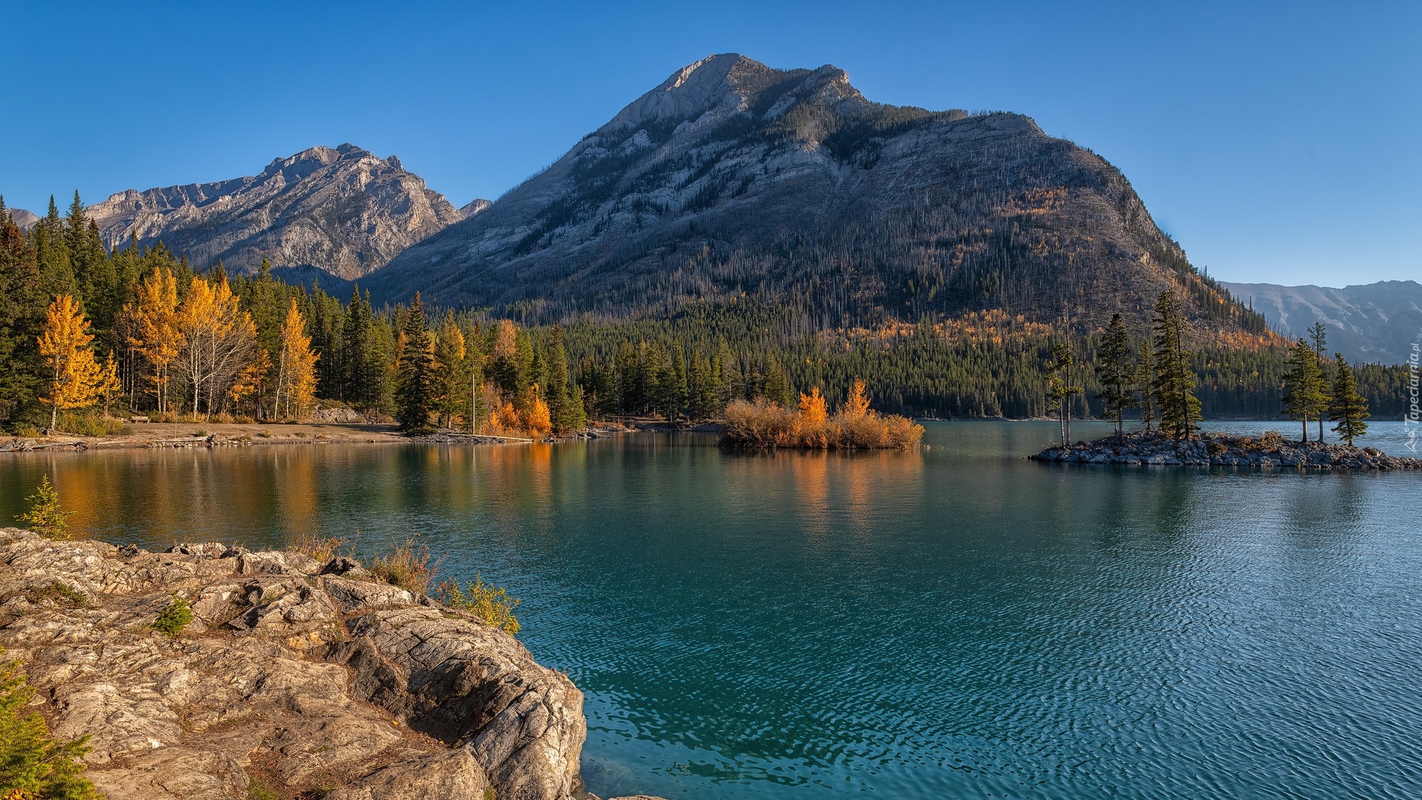 Góry, Jezioro, Lake Minnewanka, Skały, Drzewa, Park Narodowy Banff, Alberta, Kanada