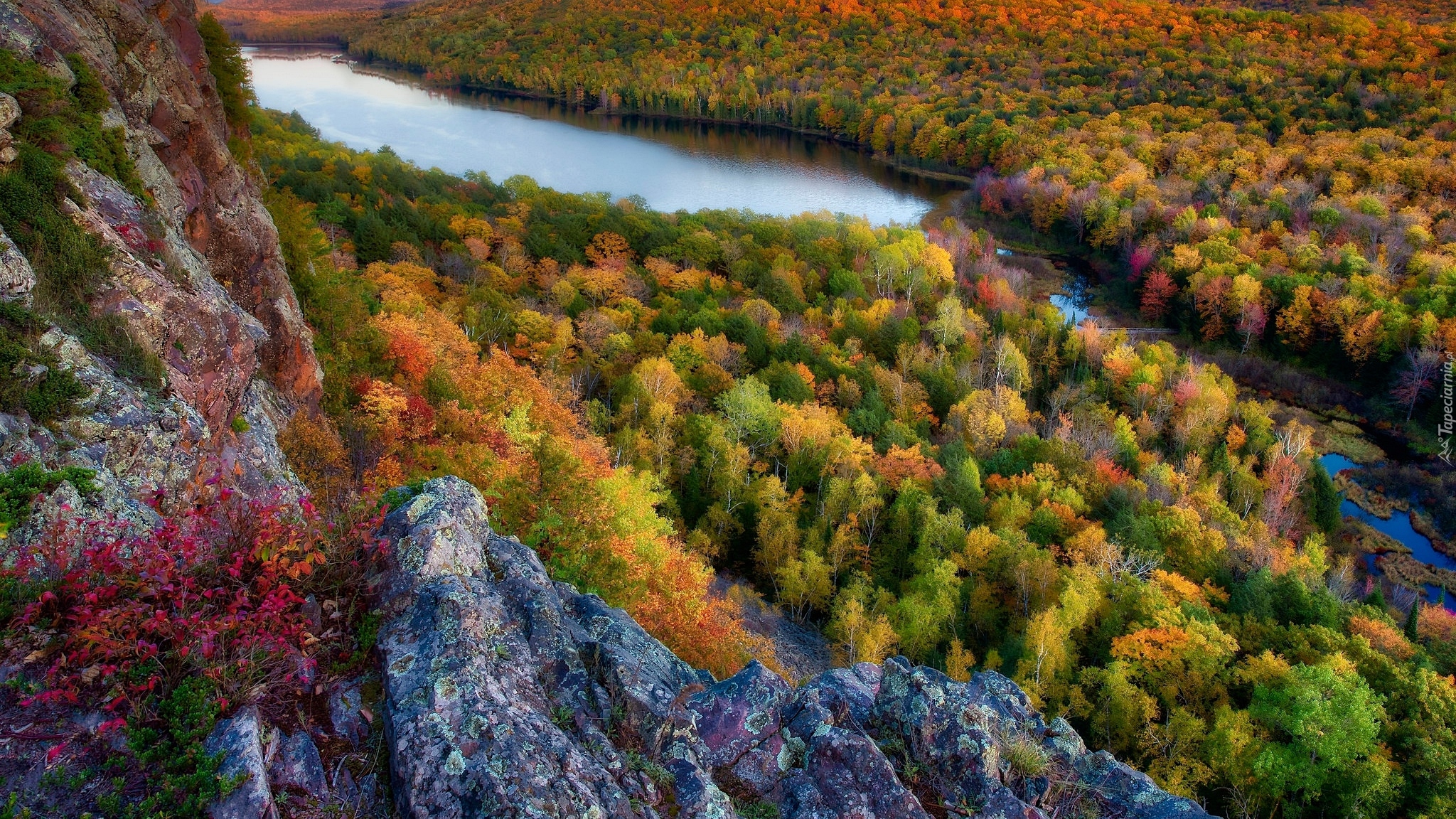 Stany Zjednoczone, Stan Michigan, Hrabstwo Ontonagon, Jezioro Lake of the Clouds, Jesień, Lasy, Skała, Roślinność