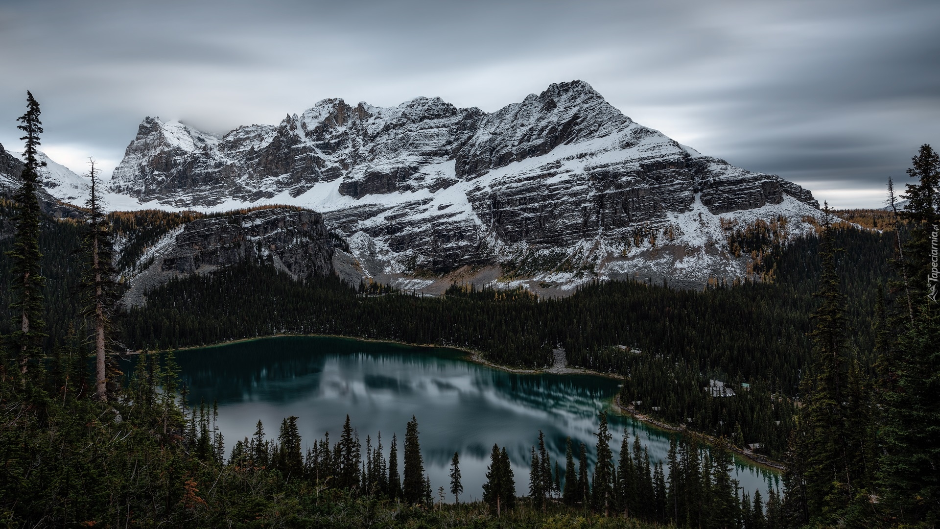 Kanada, Kolumbia Brytyjska, Park Narodowy Yoho, Jezioro, Lake OHara, Góry, Canadian Rockies, Las, Drzewa