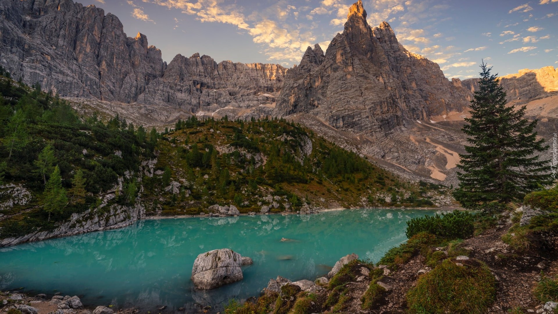 Włochy, Prowincja Belluno, Góry, Dolomity, Masyw Sorapiss, Jezioro Sorapis, Drzewa