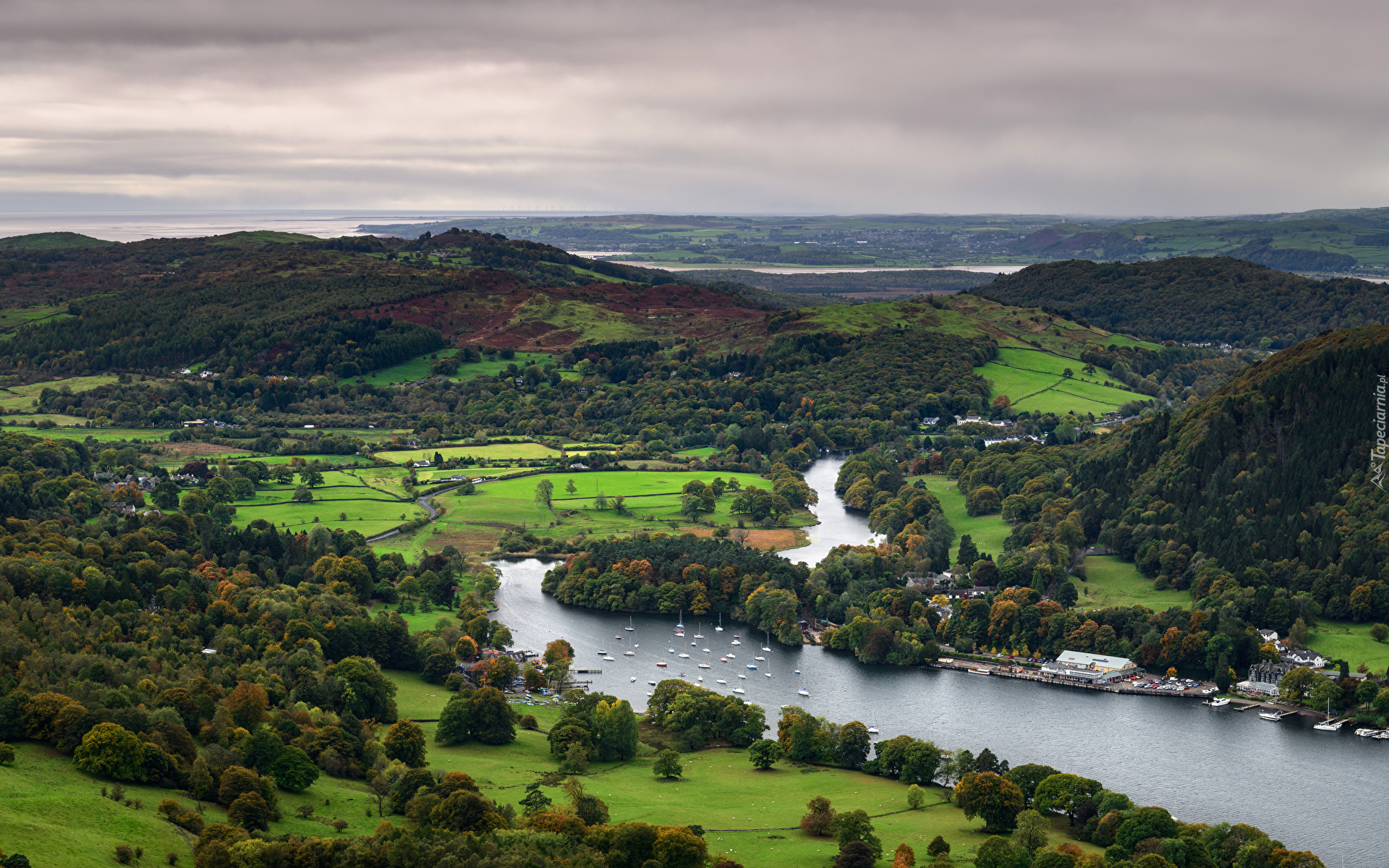 Wzgórza, Gummers How, Pola, Łódki, Jezioro, Lake Windermere, Drzewa, Kumbria, Anglia