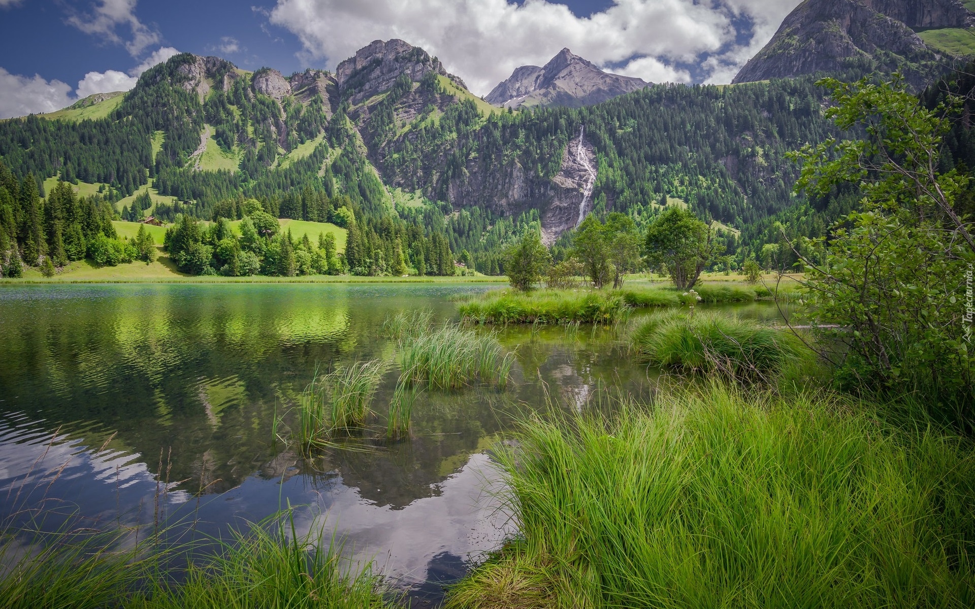 Góry, Alpy Berneńskie, Jezioro Lauenensee, Drzewa, Trawa, Gmina Lauenen, Szwajcaria