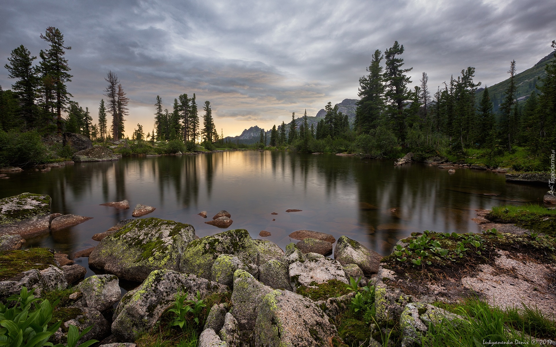 Jezioro Lazurnoye, Góry, Drzewa, Świerki, Kamienie, Park przyrody Ergaki, Syberia, Rosja