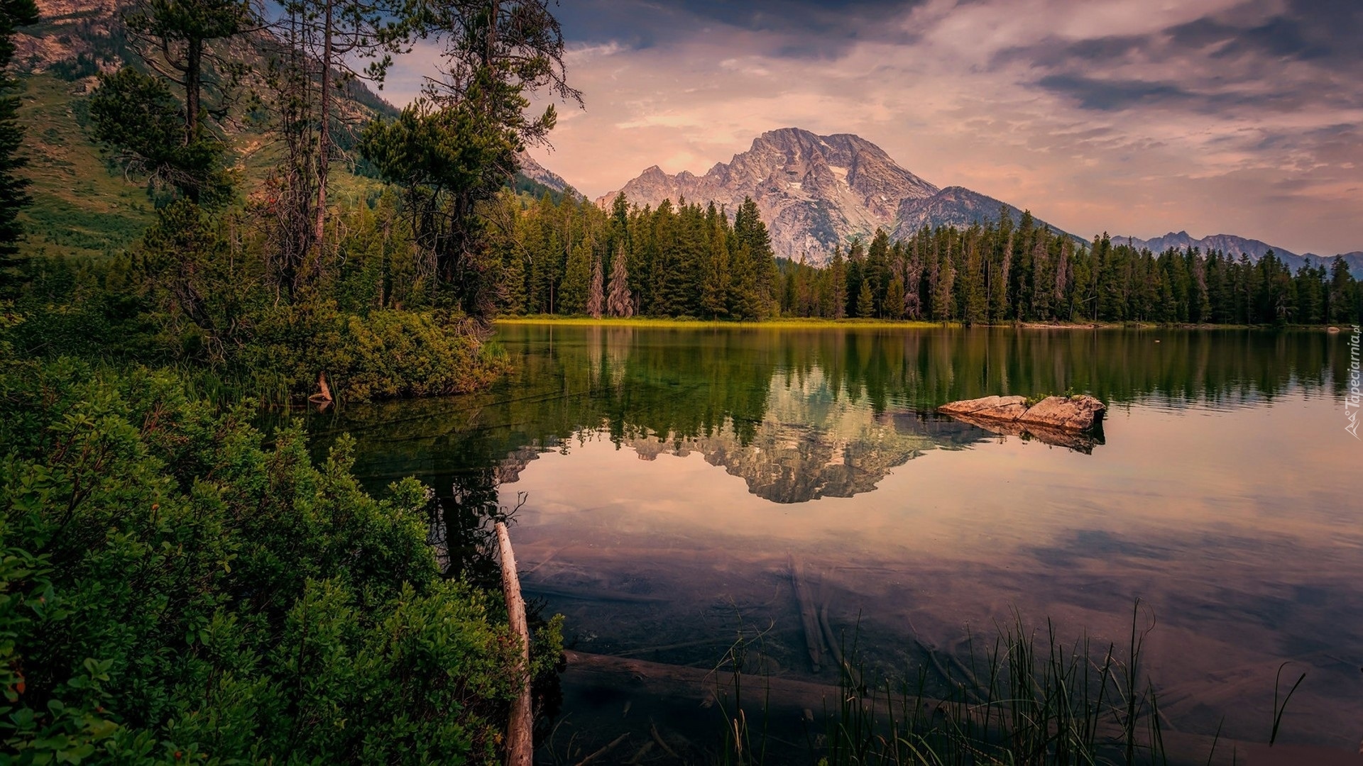 Stany Zjednoczone, Stan Wyoming, Park Narodowy Grand Teton, Jezioro Leigh Lake, Góry, Lasy, Drzewa