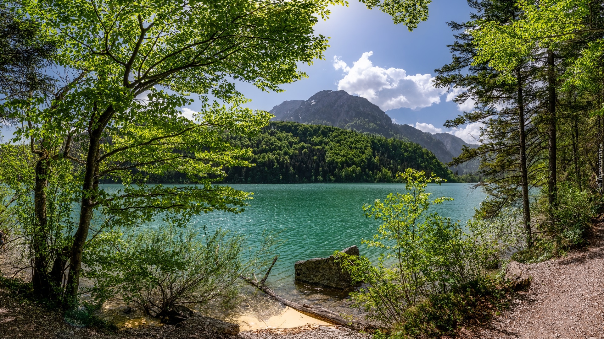 Austria, Styria, Góry, Jezioro Leopoldsteinersee, Drzewa, Chmury