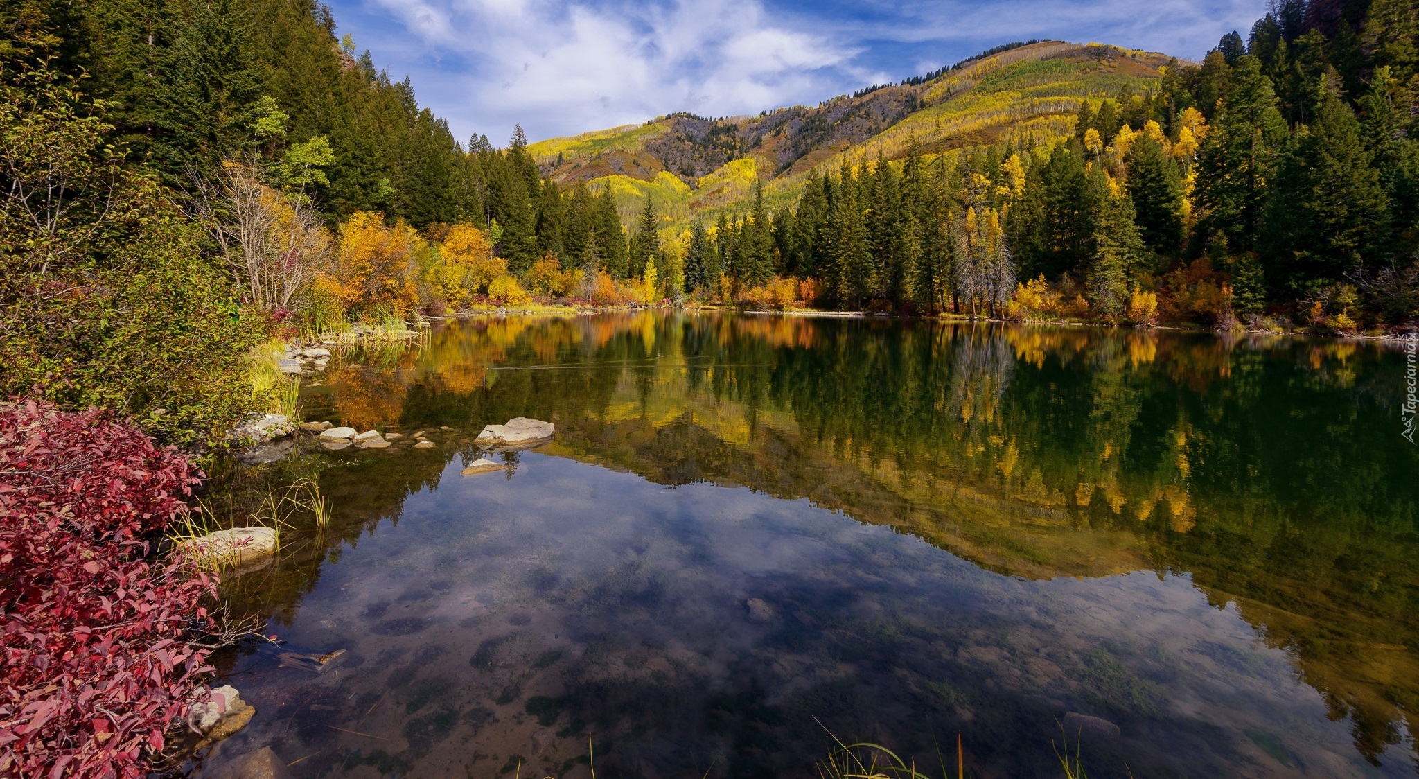 Stany Zjednoczone, Stan Kolorado, Jezioro Lizard Lake, Wzgórza, Jesień, Drzewa