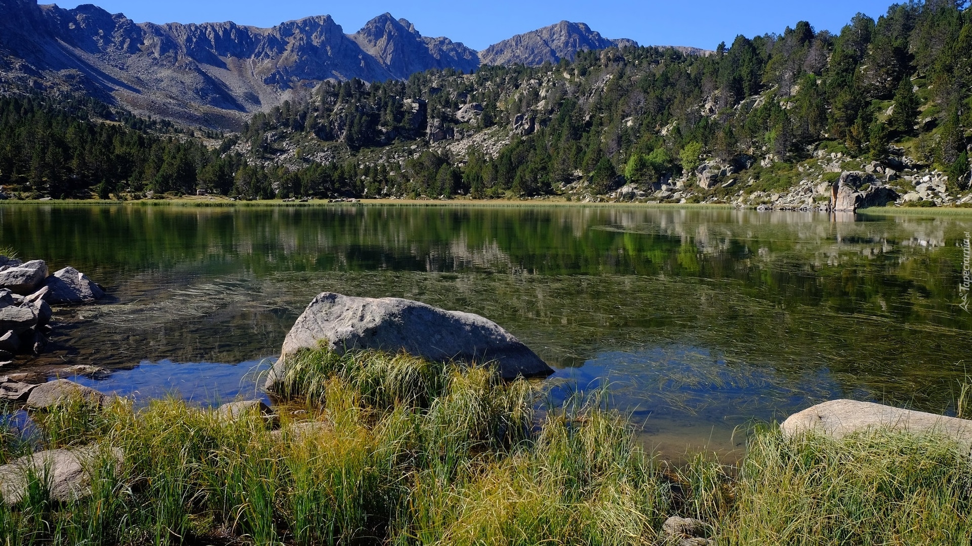 Góry, Jezioro, Llac dels Pessons, Kamienie, Trawa, Drzewa, Encamp, Andora