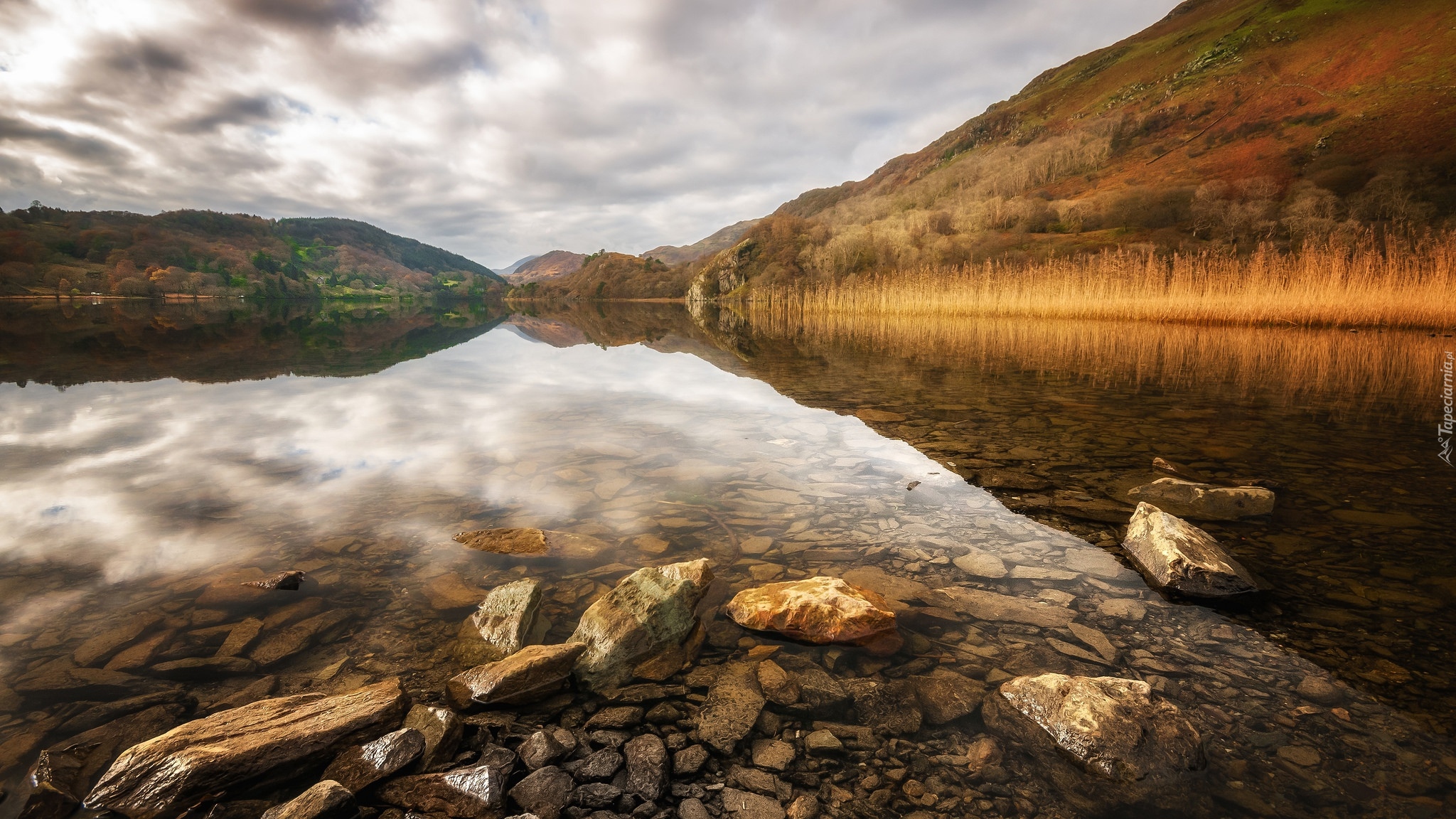 Walia, Park Narodowy Snowdonia, Jezioro Llyn Gwynant, Jesień, Kamienie, Wzgórza, Drzewa