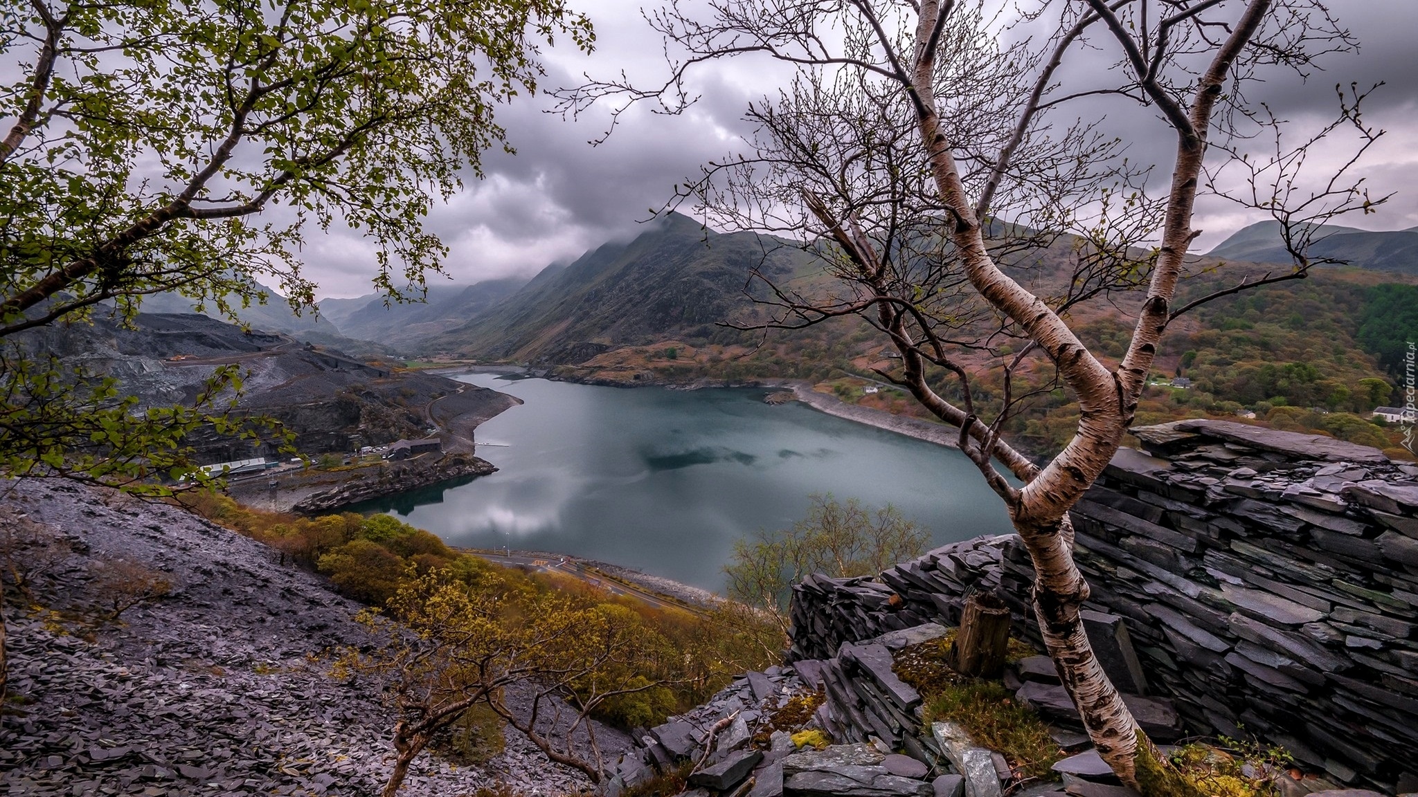 Walia, Park Narodowy Snowdonia, Góry, Jezioro Llyn Peris, Drzewa, Skały