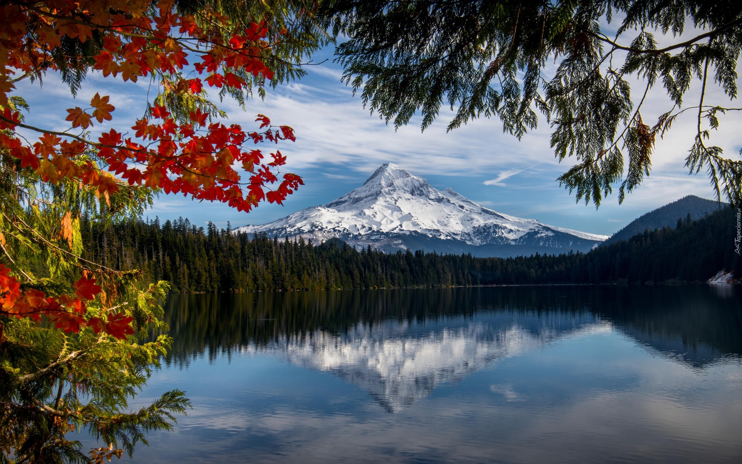 Stany Zjednoczone, Stan Oregon, Góra, Stratowulkan Mount Hood, Jezioro Lost Lake, Drzewa