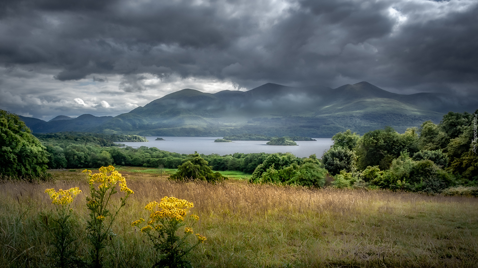 Irlandia, Hrabstwo Kerry, Góry, Jezioro, Lough Leane, Park Narodowy Killarney, Ciemne, Chmury, Drzewa, Rośliny