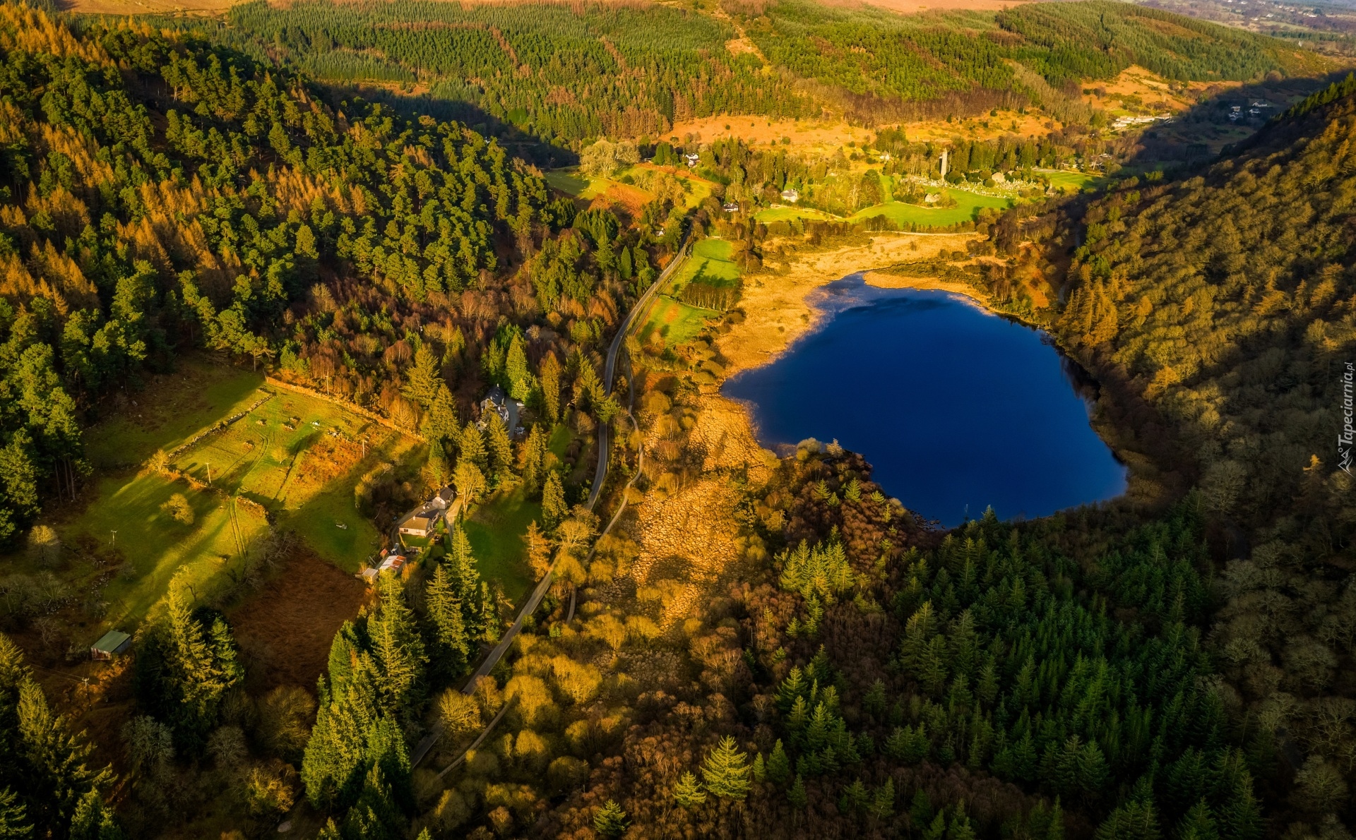 Jezioro Lower Lake, Wzgórza, Las, Park Narodowy Gór Wicklow, Irlandia