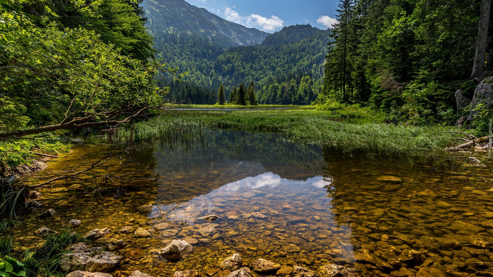 Góry, Jezioro, Lunzersee, Jezioro Lunzkie, Drzewa, Odbicie, Austria