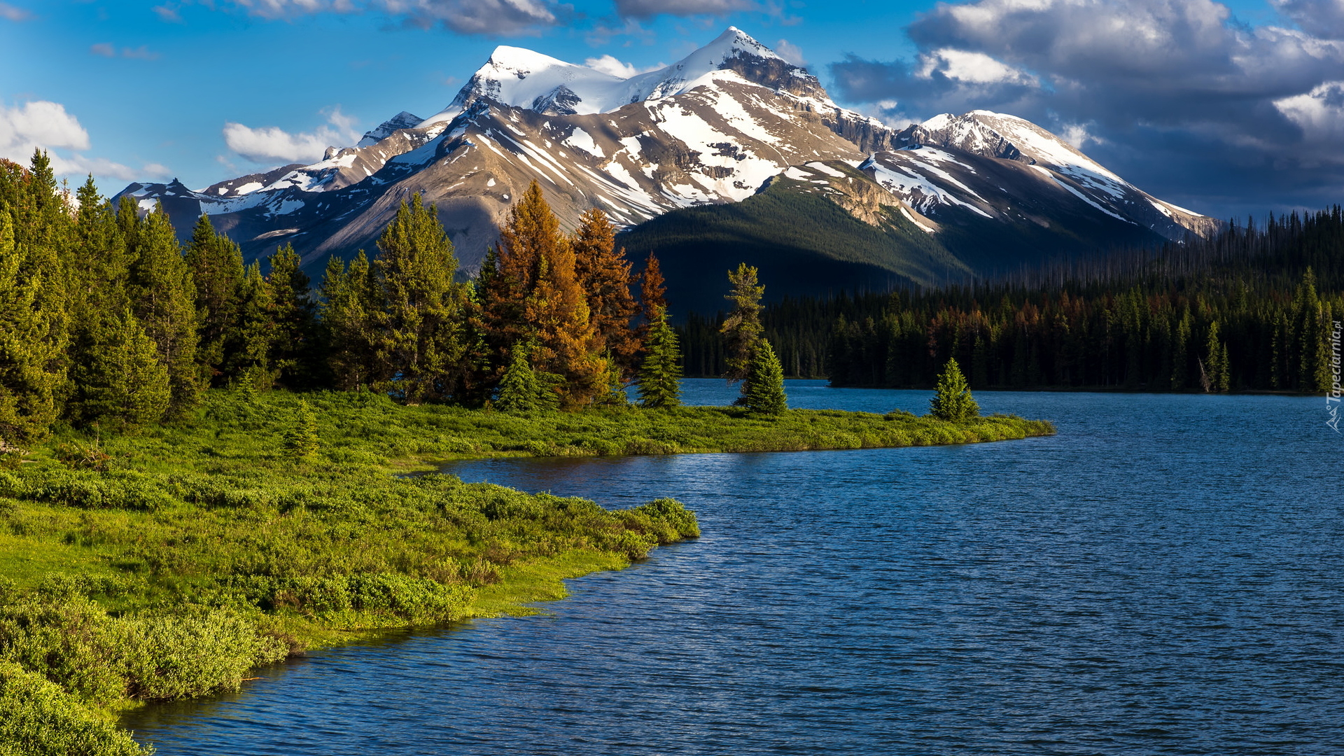Park Narodowy Jasper, Góry, Jezioro, Maligne Lake, Drzewa, Prowincja Alberta, Kanada