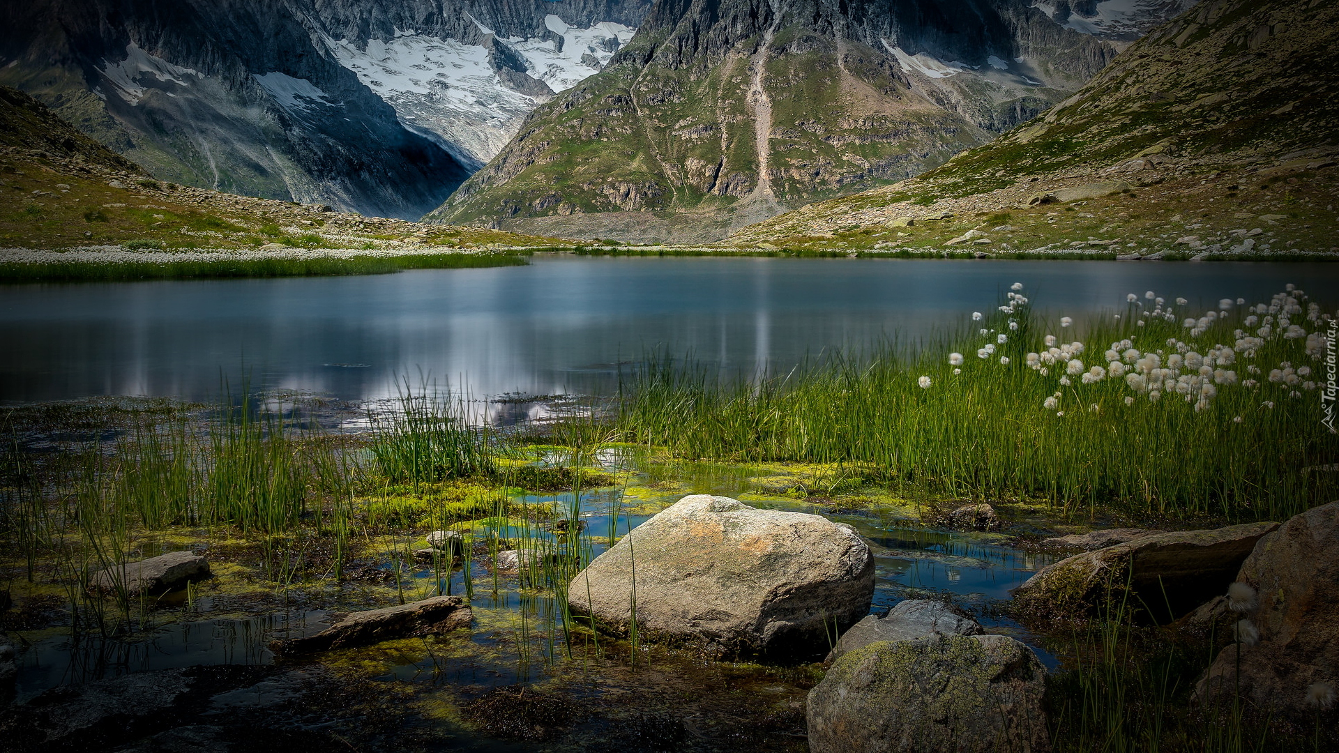 Jezioro Marjelensee, Kamienie, Rośliny, Trawa, Góry, Alpy Berneńskie, Kanton Wallis, Szwajcaria