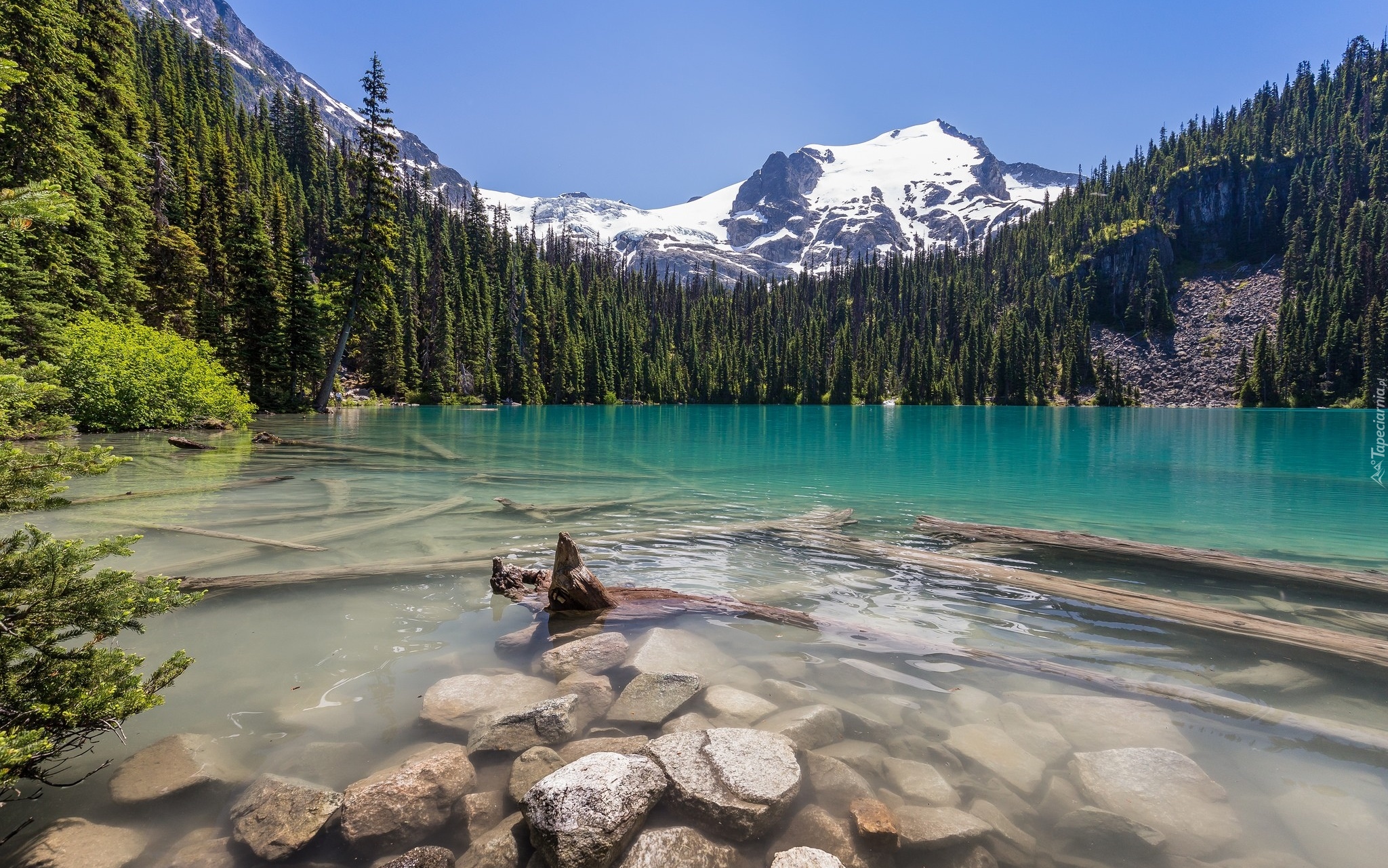 Kanada, Kolumbia Brytyjska, Park Prowincjonalny Joffre Lakes, Jezioro Middle Joffre, Brzeg, Kamienie, Las, Góry