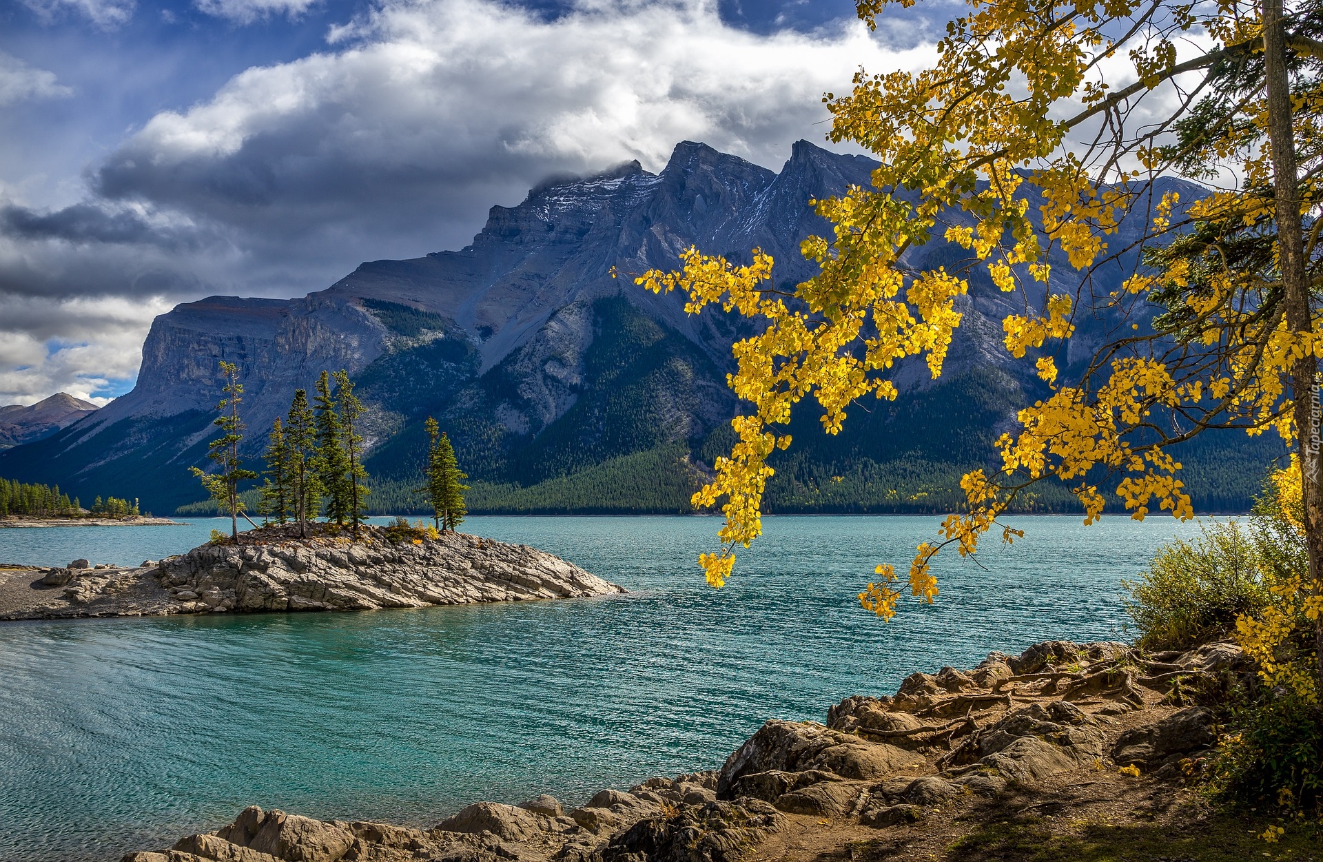 Lake Minnewanka, Wysepka, Góry Skaliste, Drzewa, Gałęzie, Park Narodowy Banff, Alberta, Kanada