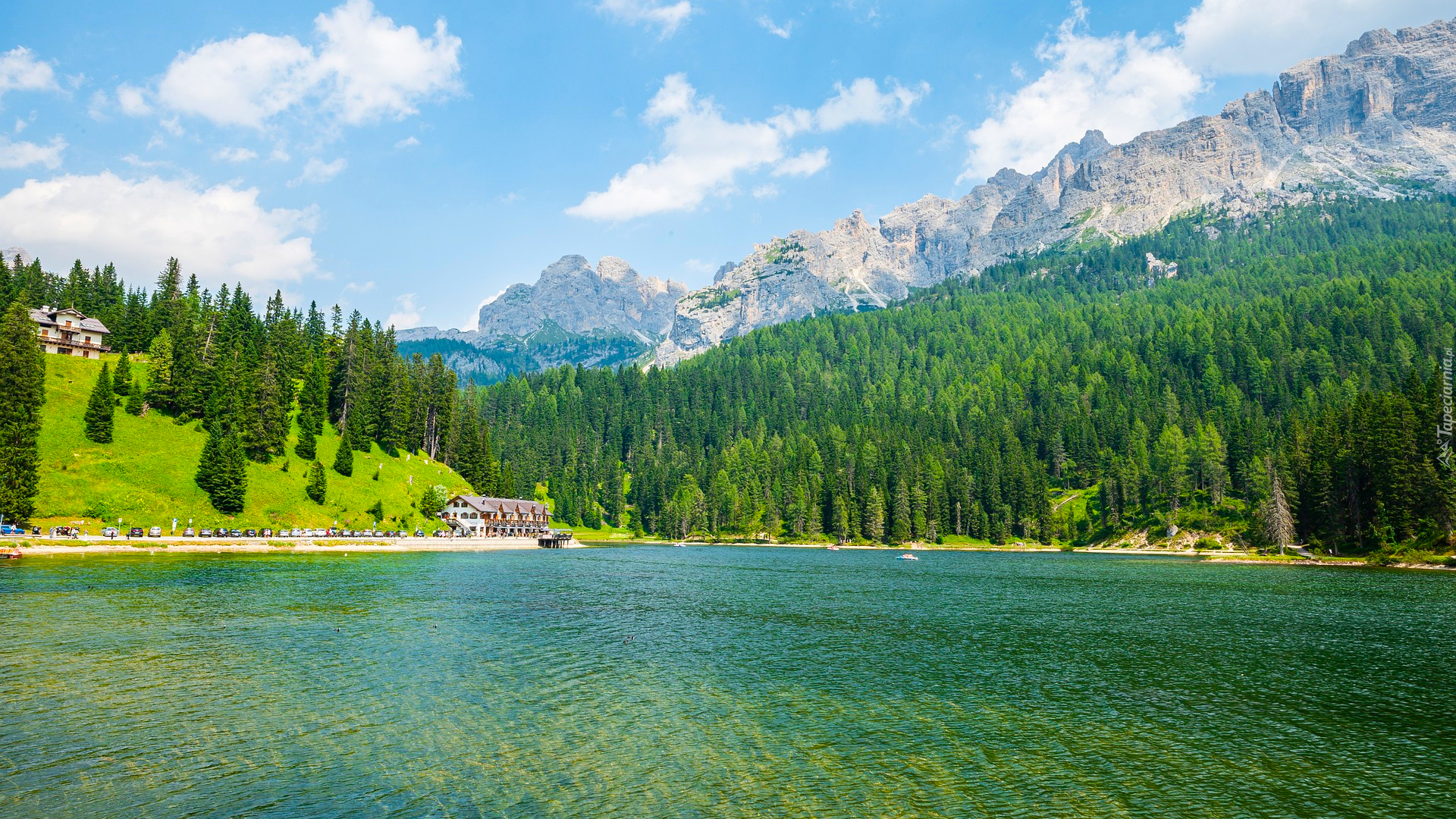 Góry, Dolomity, Drzewa, Jezioro, Misurina Lake, Włochy