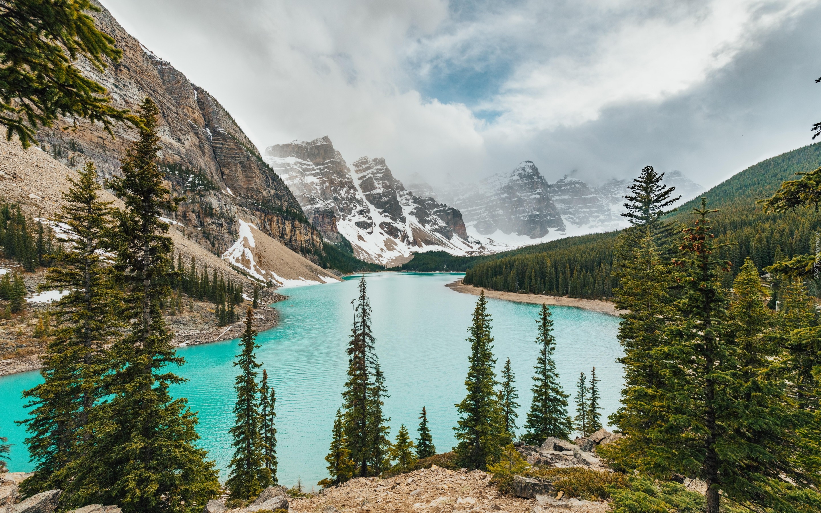 Jezioro, Moraine Lake, Góry, Lasy, Drzewa, Park Narodowy Banff, Alberta, Kanada