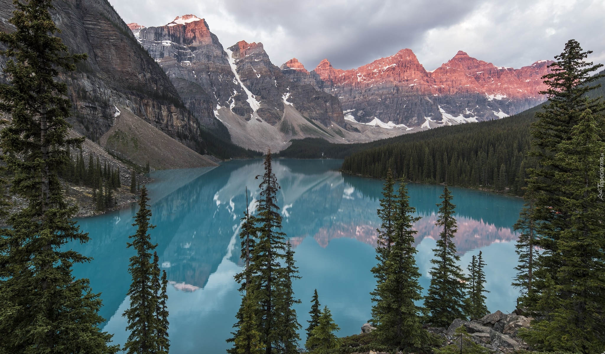 Park Narodowy Banff, Kanada, Prowincja Alberta, Jezioro Moraine, Drzewa, Świerki, Góry