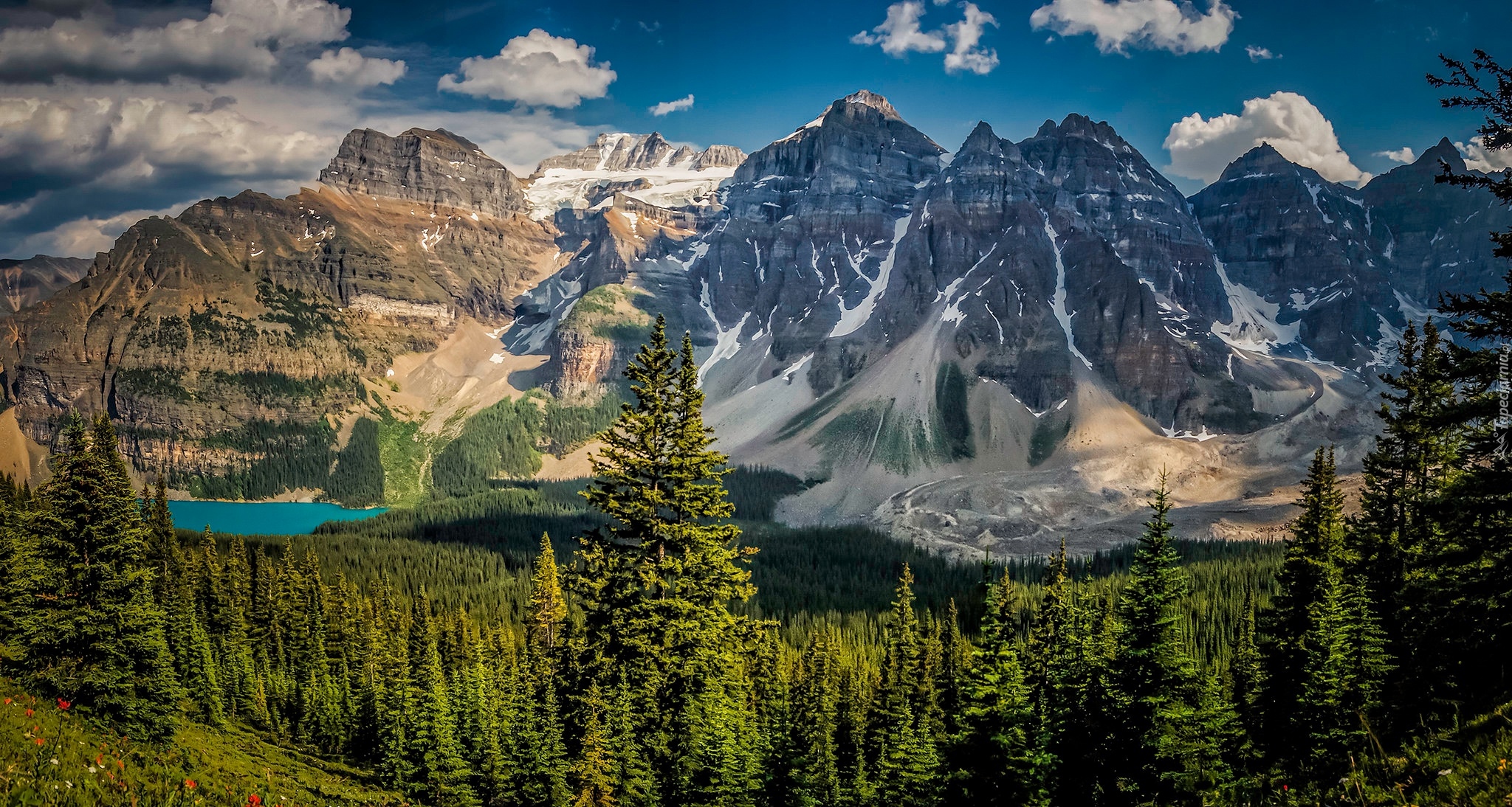 Las, Drzewa, Kanadyjskie Góry Skaliste, Jezioro Moraine, Dolina Dziesięciu Szczytów, Park Narodowy Banff, Prowincja Alberta, Kanada