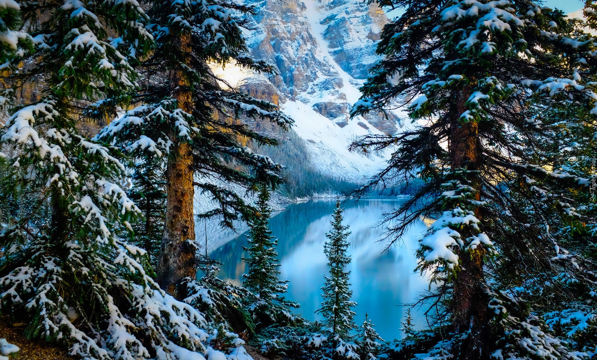 Kanada, Prowincja Alberta, Park Narodowy Banff, Jezioro Moraine, Góry, Drzewa, Zima