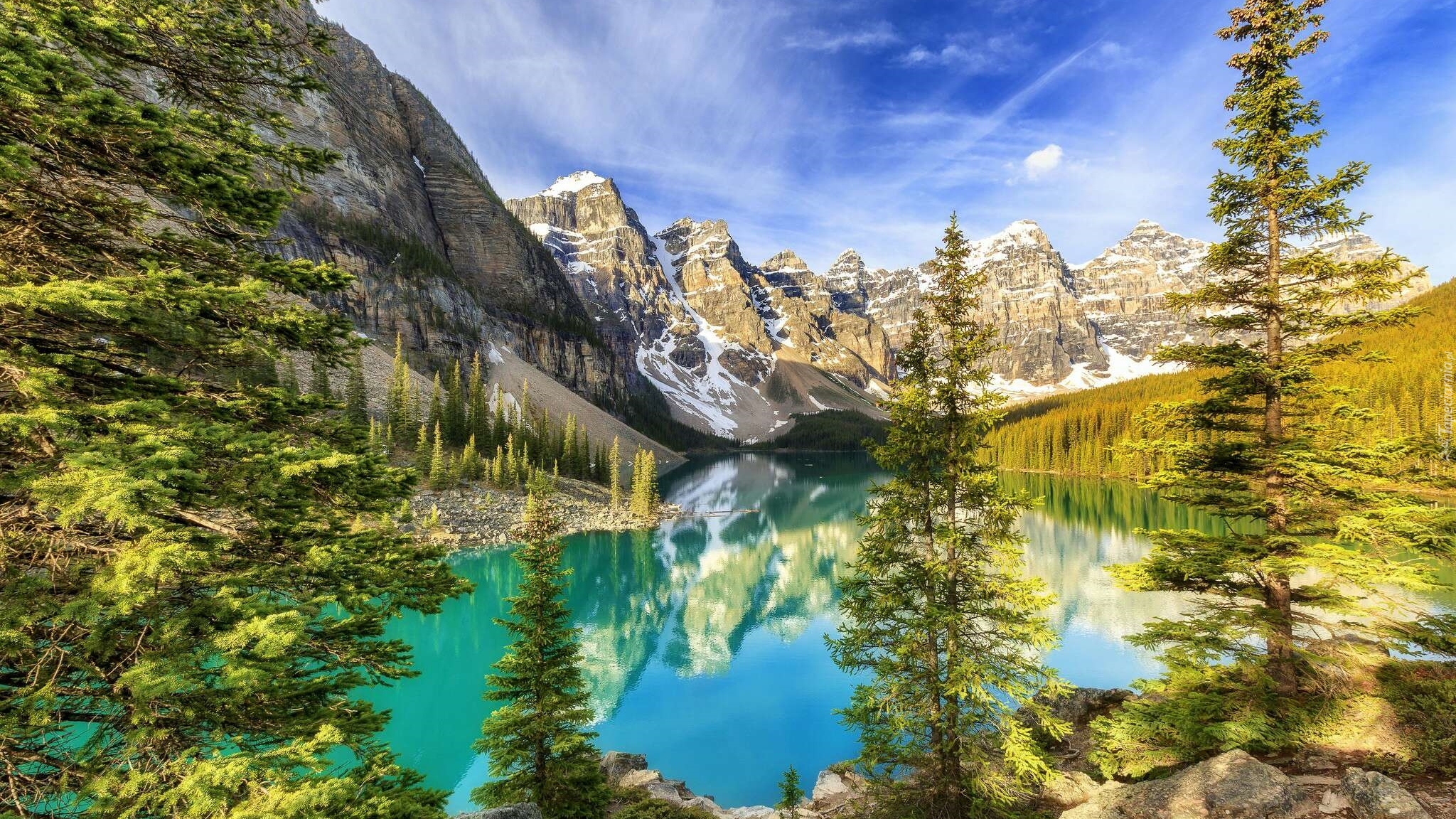 Kanada, Alberta, Park Narodowy Banff, Jezioro Moraine, Drzewa, Odbicie