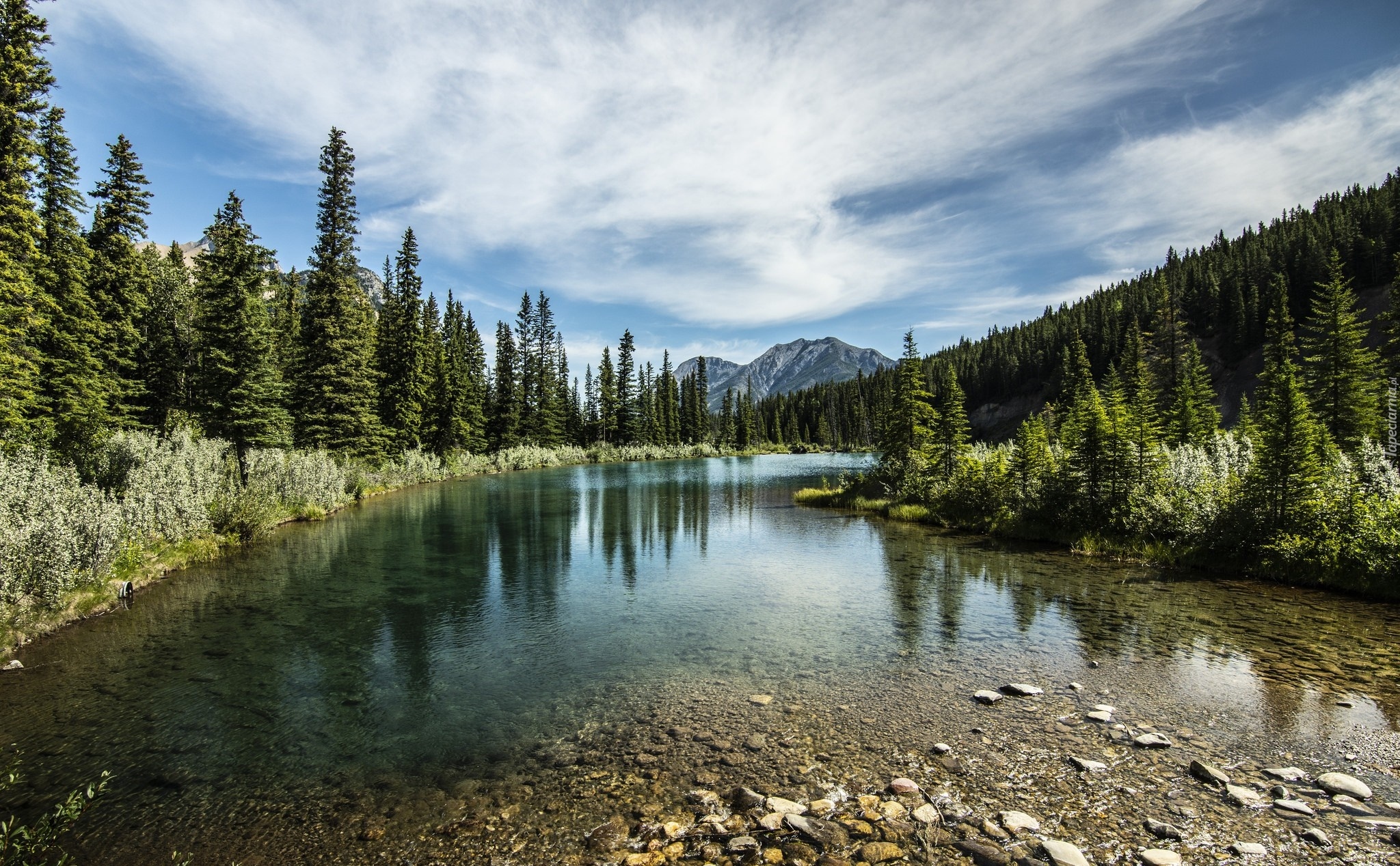 Jezioro Mount Lorette Ponds, Las, Góry Canadian Rockies, Kananaskis Country, Prowincja Alberta, Kanada