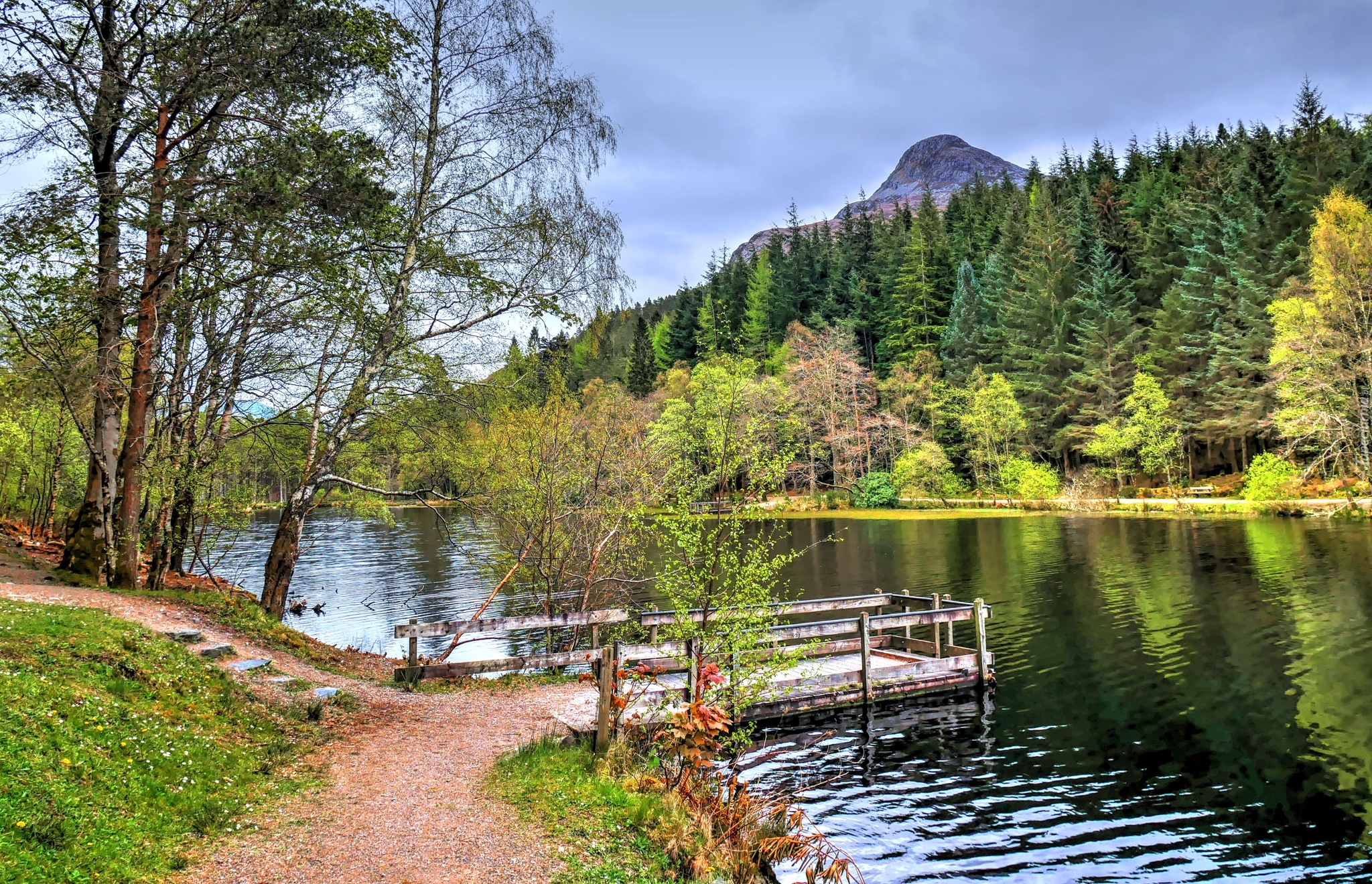 Szkocja, Szlak Glencoe Lochan, Jezioro, Góra Pap of Glencoe, Pomost, Lasy, Jesień, Drzewa