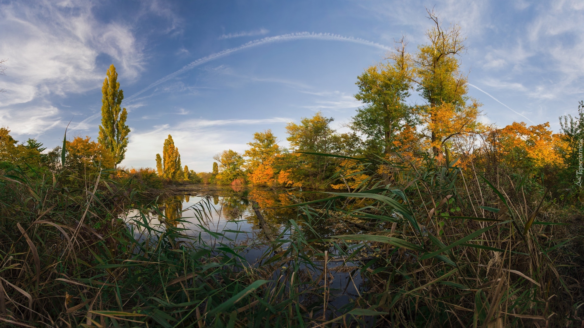 Jesień, Jezioro, Holasky lakes, Drzewa, Rośliny, Czechy