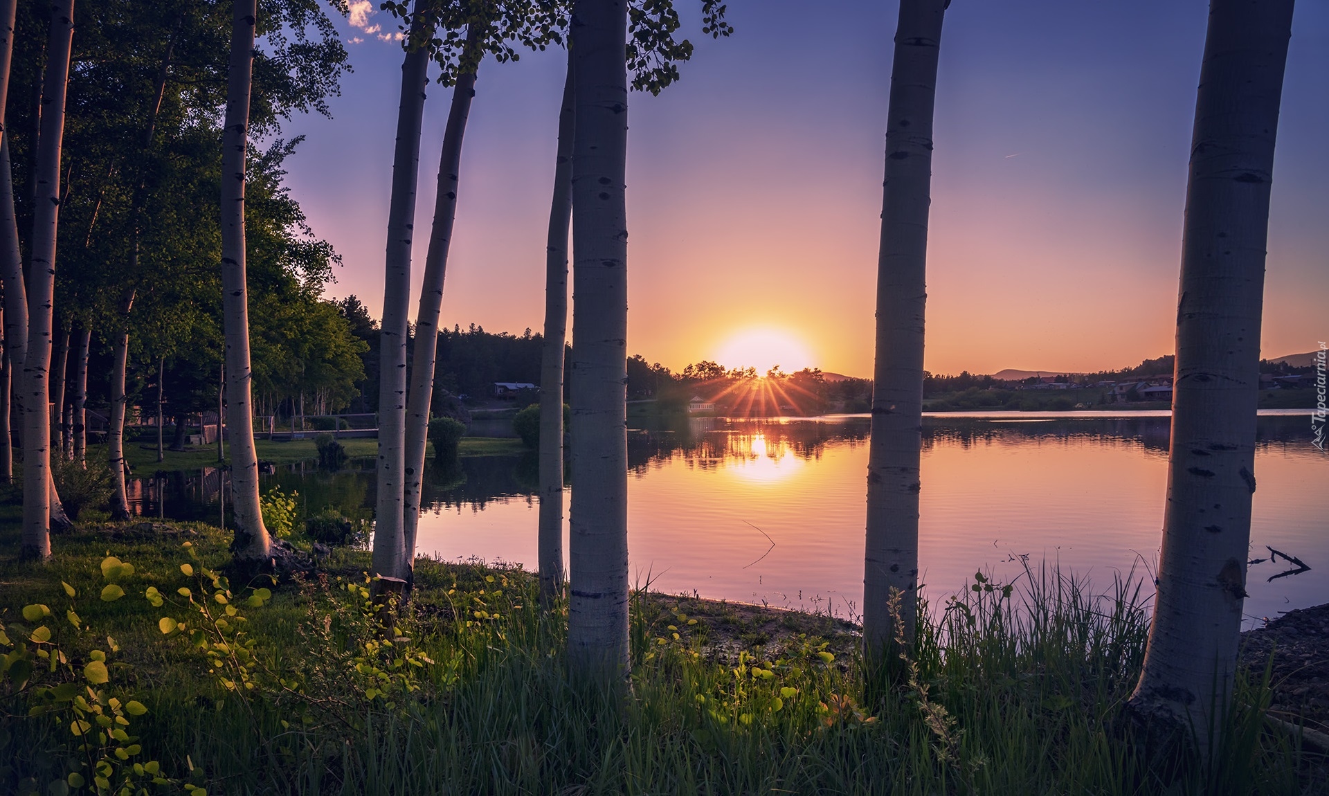 Stany Zjednoczone, Kolorado, Red Feather Lakes, Drzewa, Zachód słońca, Jezioro