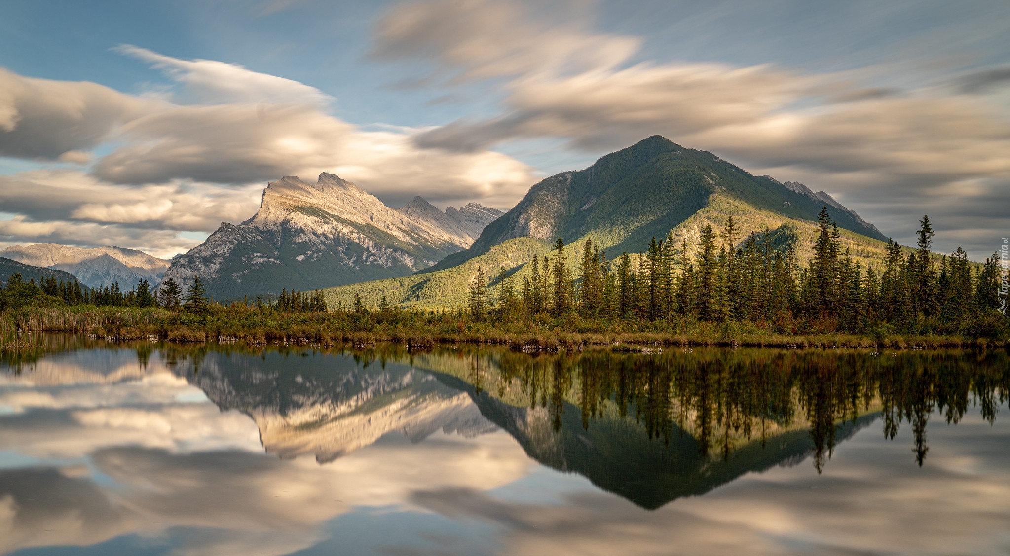 Góry, Jezioro, Vermilion Lakes, Las, Drzewa, Chmury, Odbicie, Park Narodowy Banff, Alberta, Kanada
