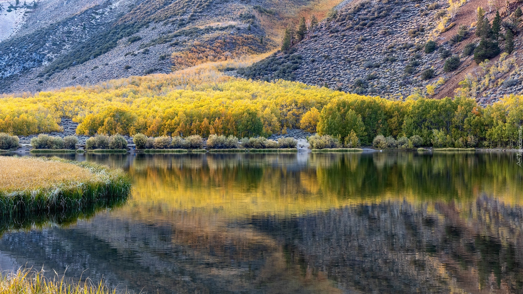 Jezioro North Lake, Góry, Sierra Nevada, Trawy, Drzewa, Kamienie, Chmury, Odbicie, Kalifornia, Stany Zjednoczone