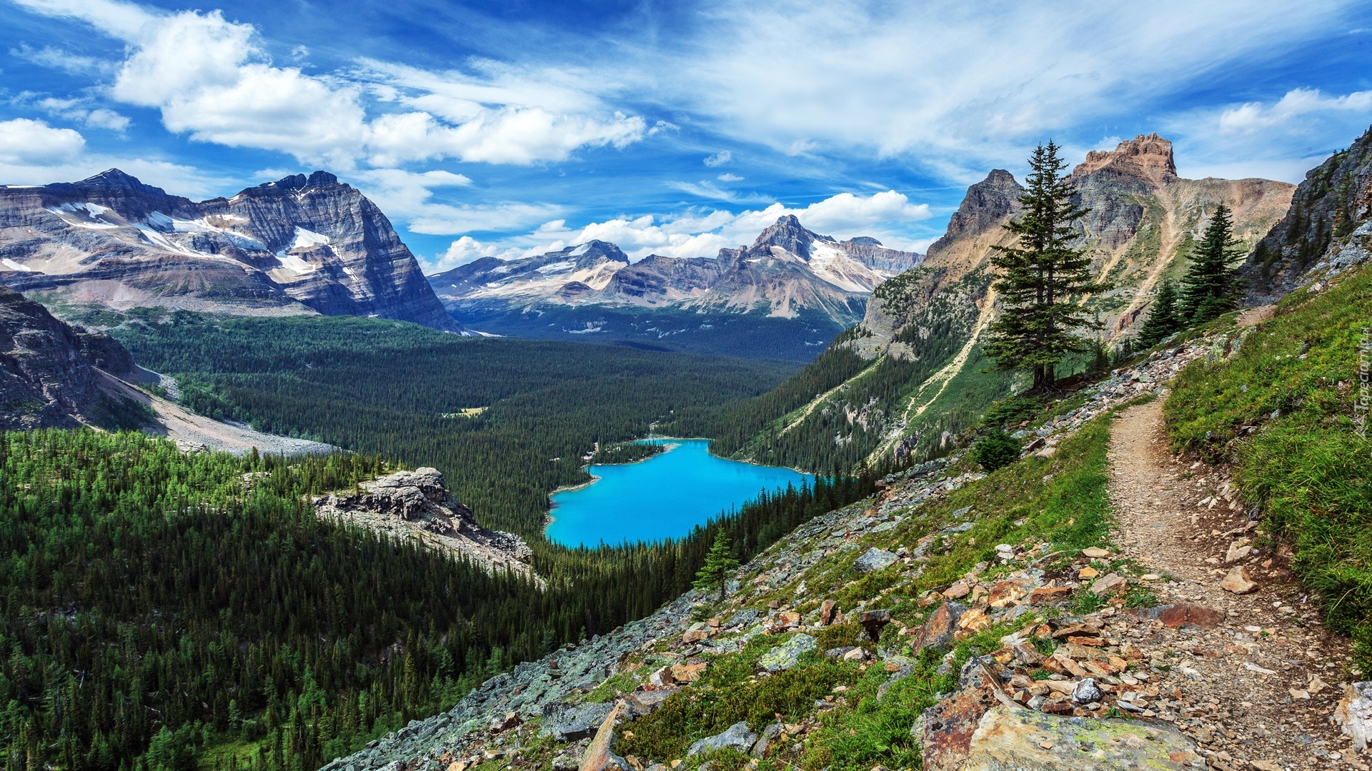 Kanada, Kolumbia Brytyjska, Park Narodowy Yoho, Jezioro O Hara, Góry Canadian Rockies, Las, Chmury