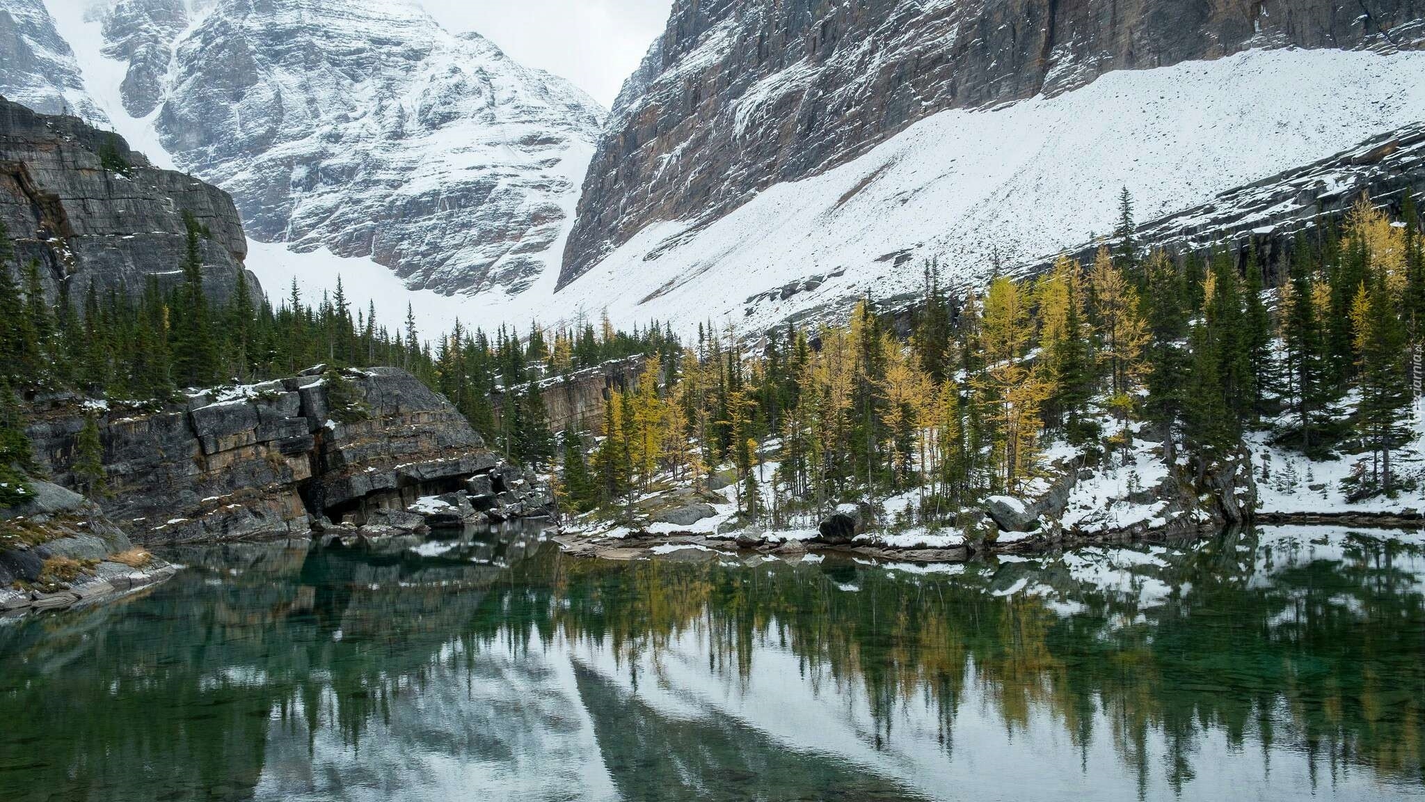 Kanada, Kolumbia Brytyjska, Park Narodowy Yoho, Góry Canadian Rockies, Jezioro O’Hara, Drzewa, Zima, Śnieg, Odbicie