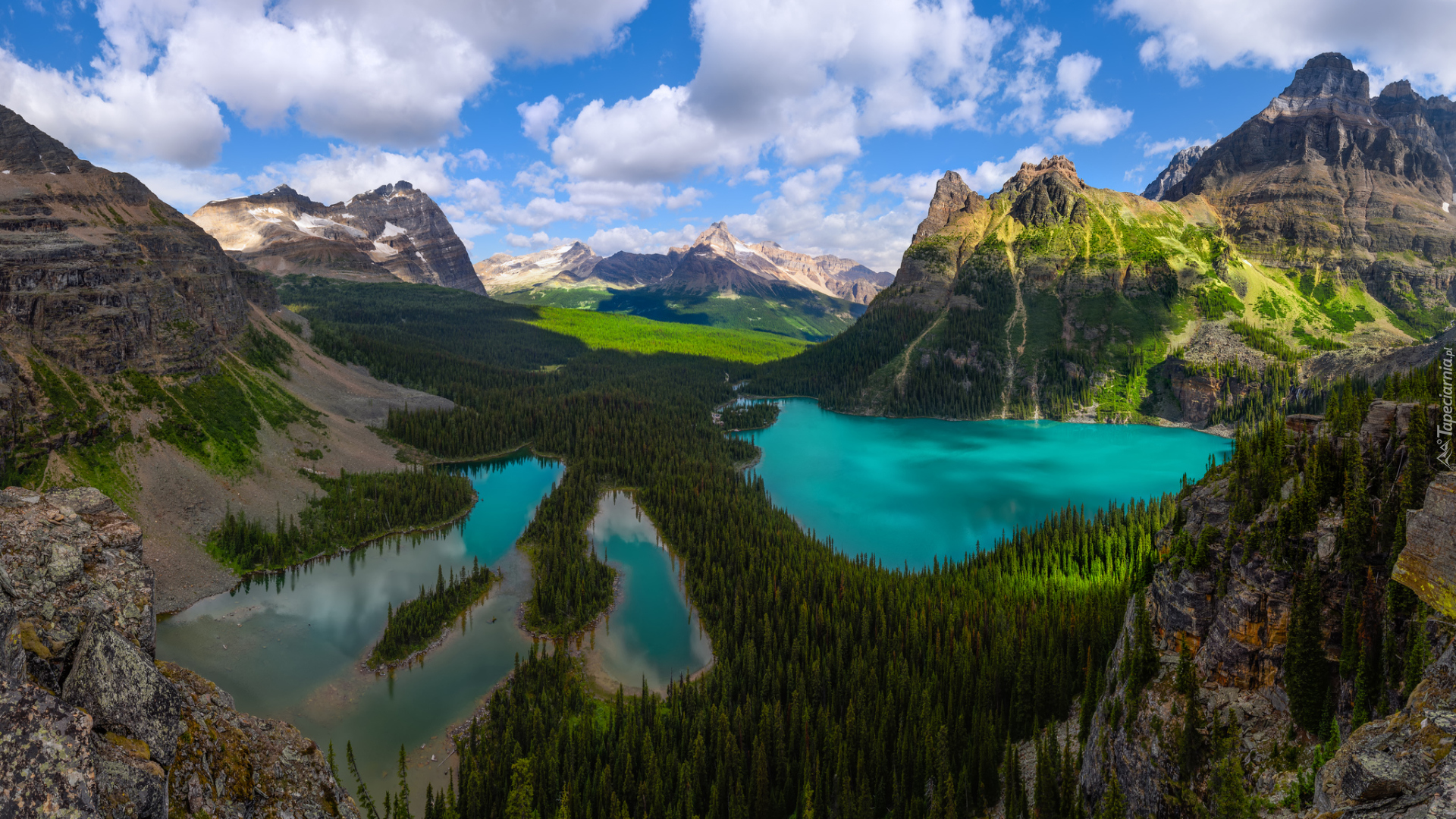 Góry Canadian Rockies, Lasy, Jezioro O Hara, Park Narodowy Yoho, Prowincja Kolumbia Brytyjska, Kanada