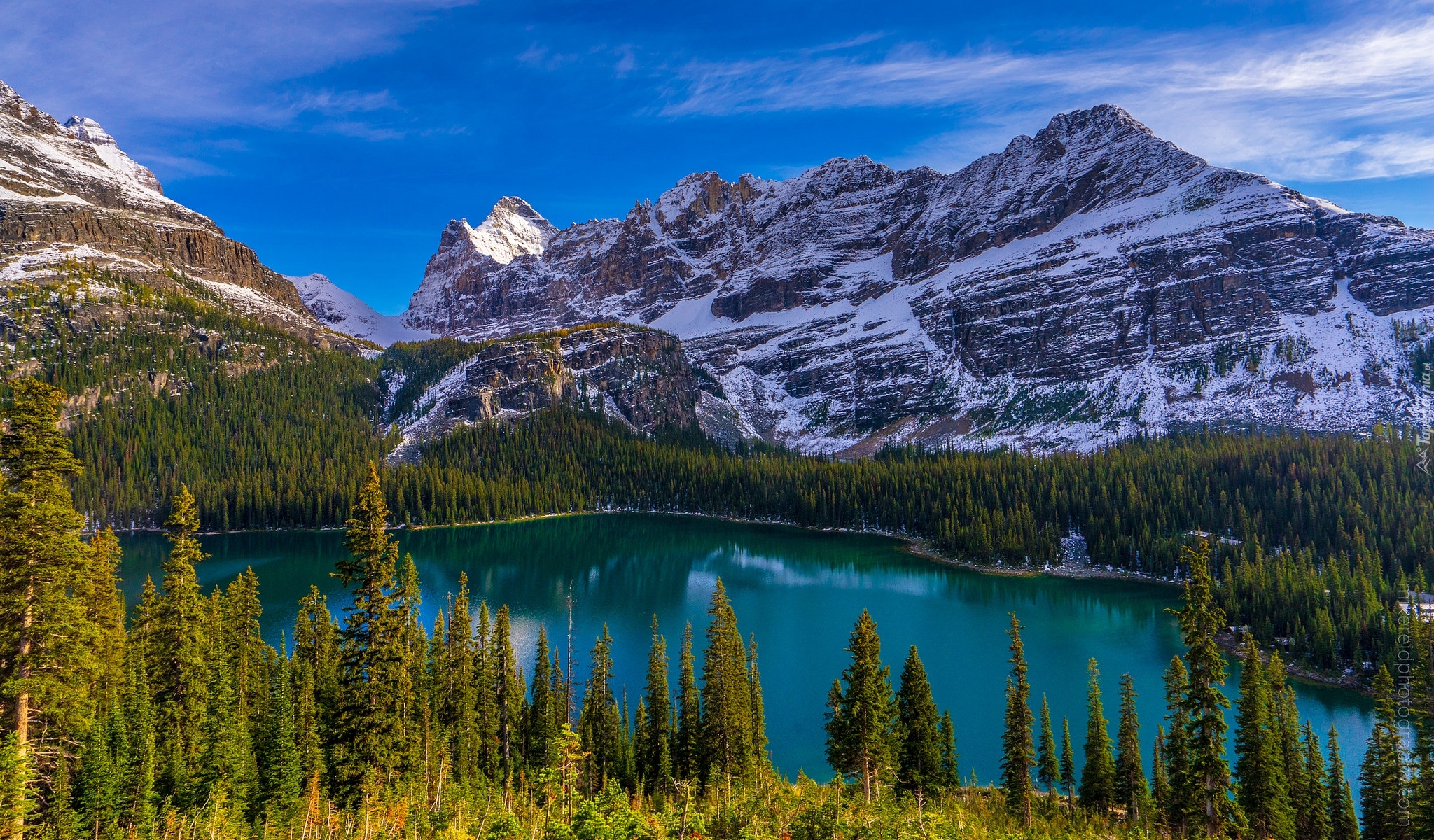 Góry, Las, Jezioro O Hara, Park Narodowy Yoho, Prowincja Kolumbia Brytyjska, Kanada