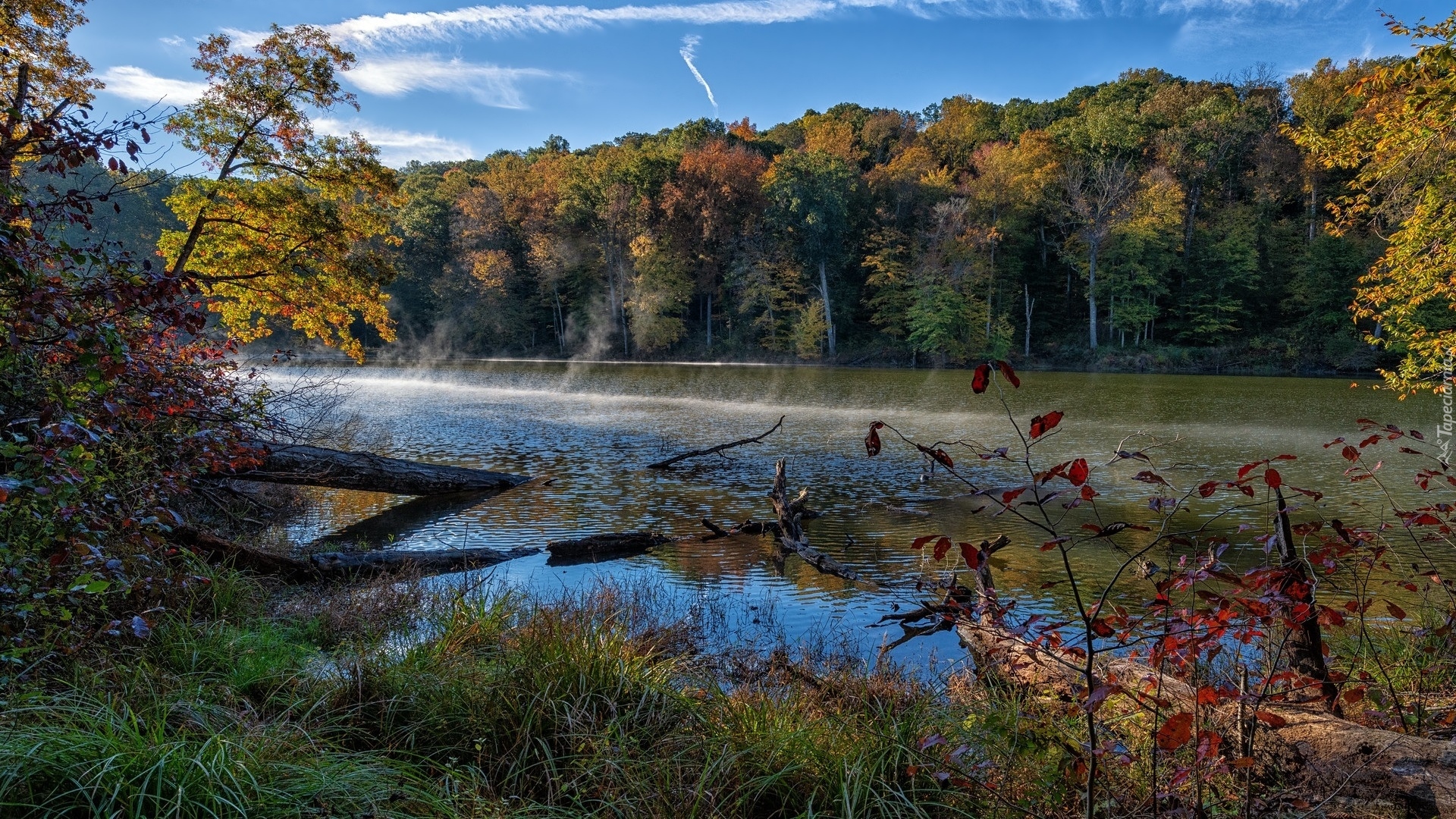 Jesień, Jezioro, Ogle Lake, Drzewa, Trawa, Indiana, Stany Zjednoczone