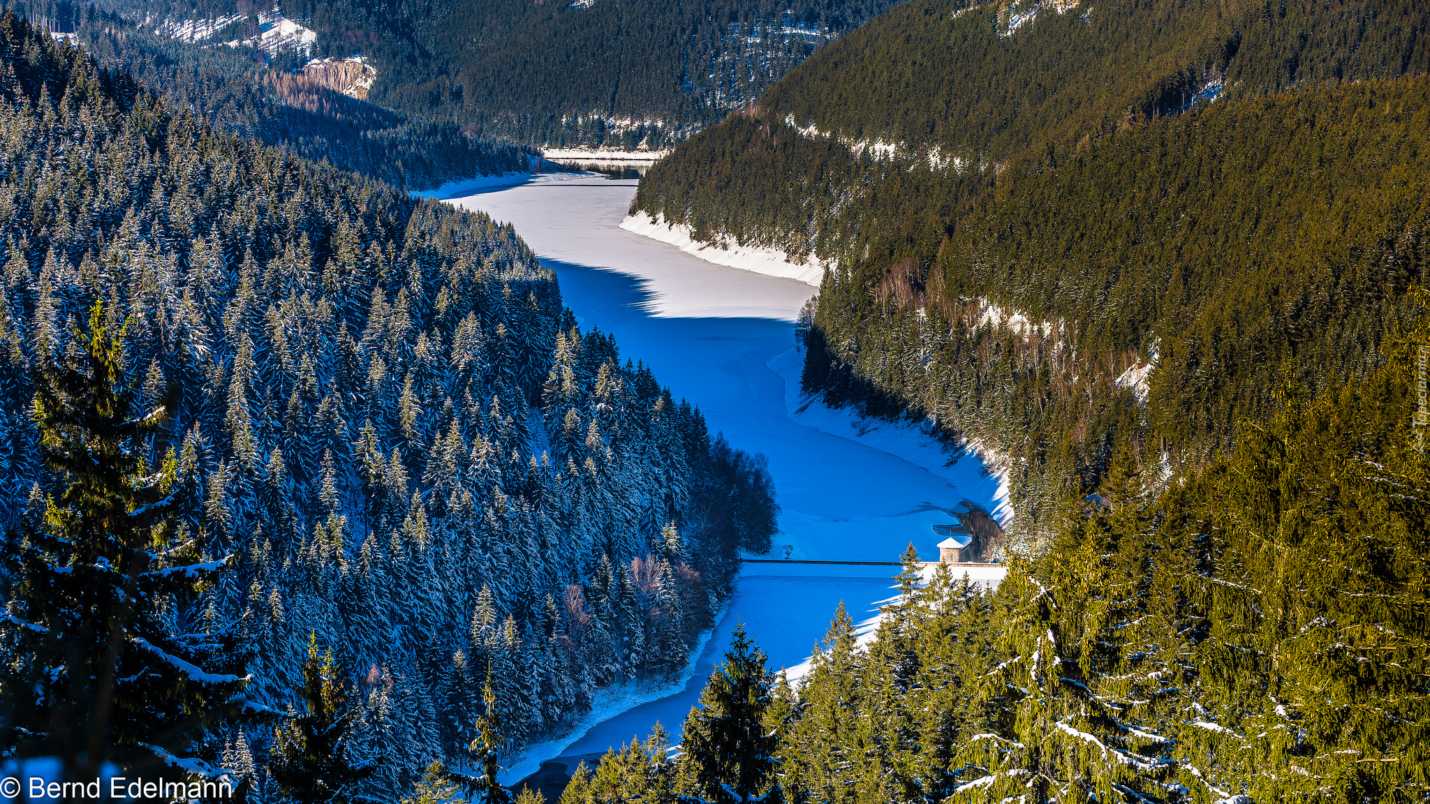 Góry, Las Turyński, Jezioro Ohratalsperre, Drzewa, Zima, Turyngia, Niemcy